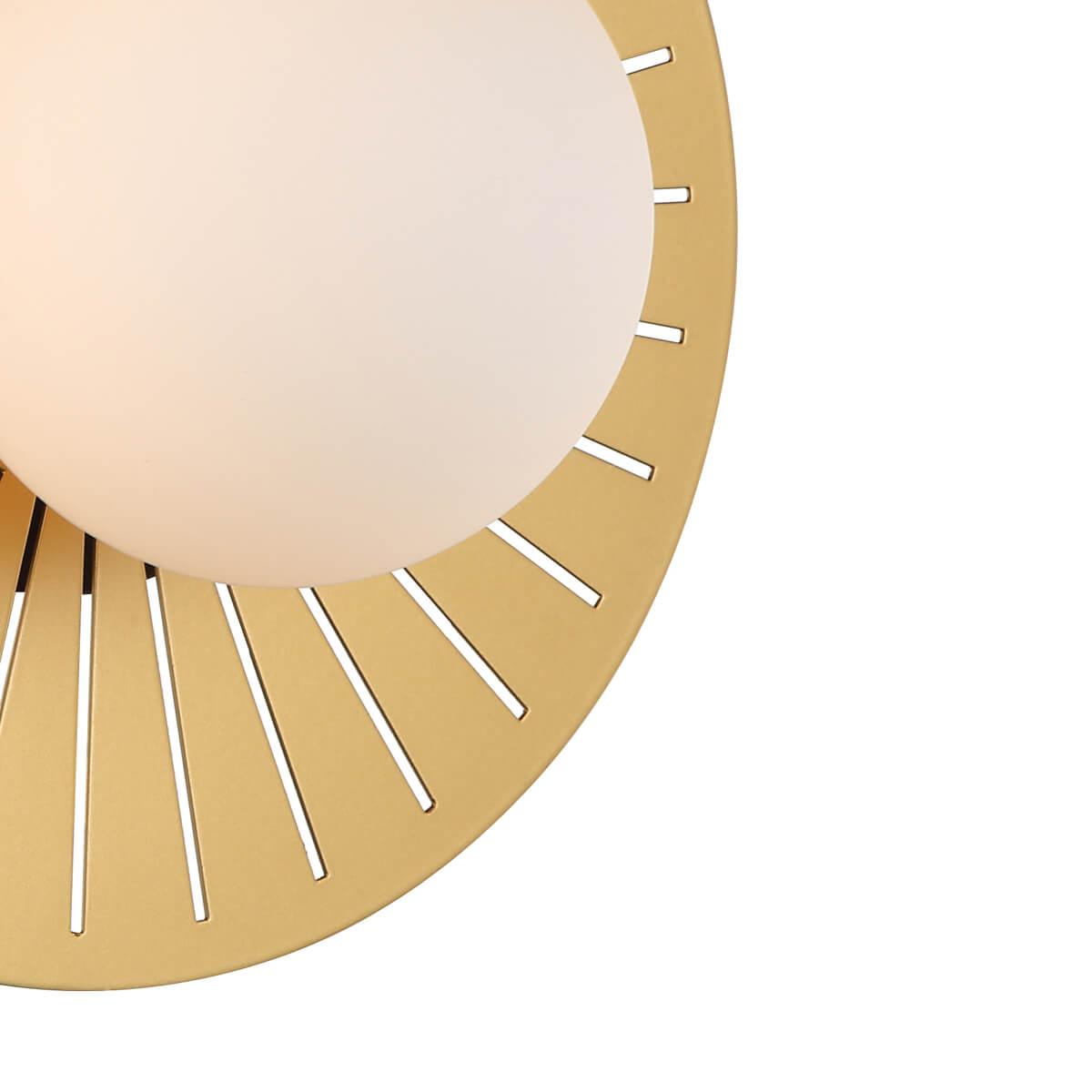 Картинка Настенный светильник Favourite Sonnenblume 2356-1W