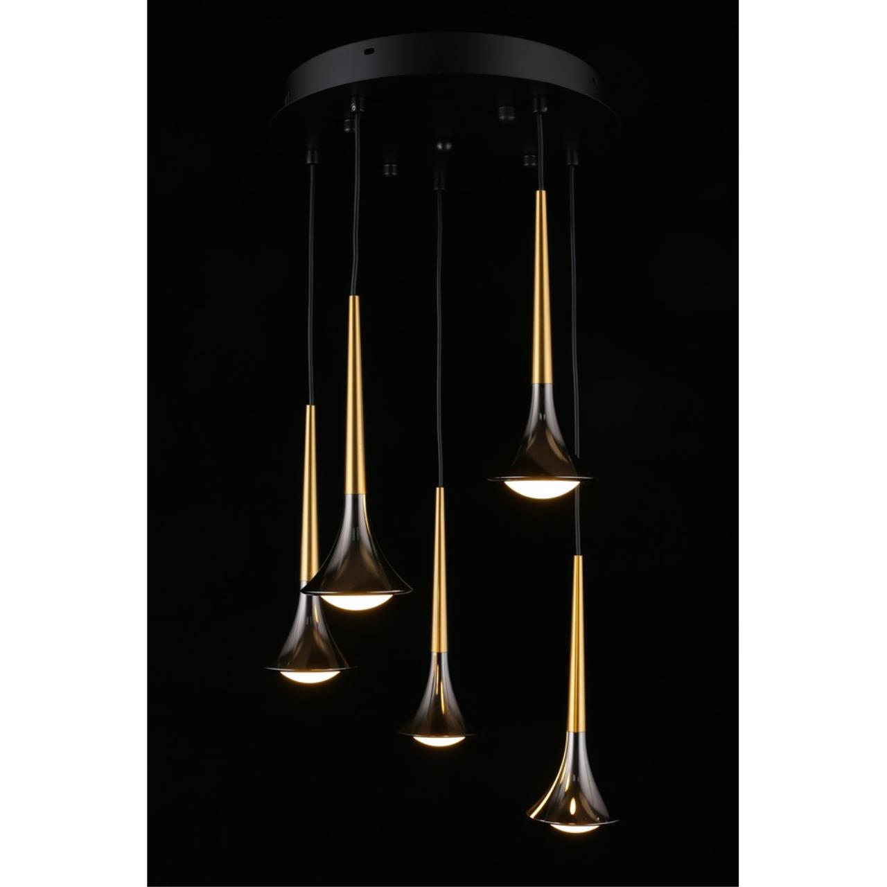 Картинка APL.784.06.05 Светильник подвесной Aployt Agas