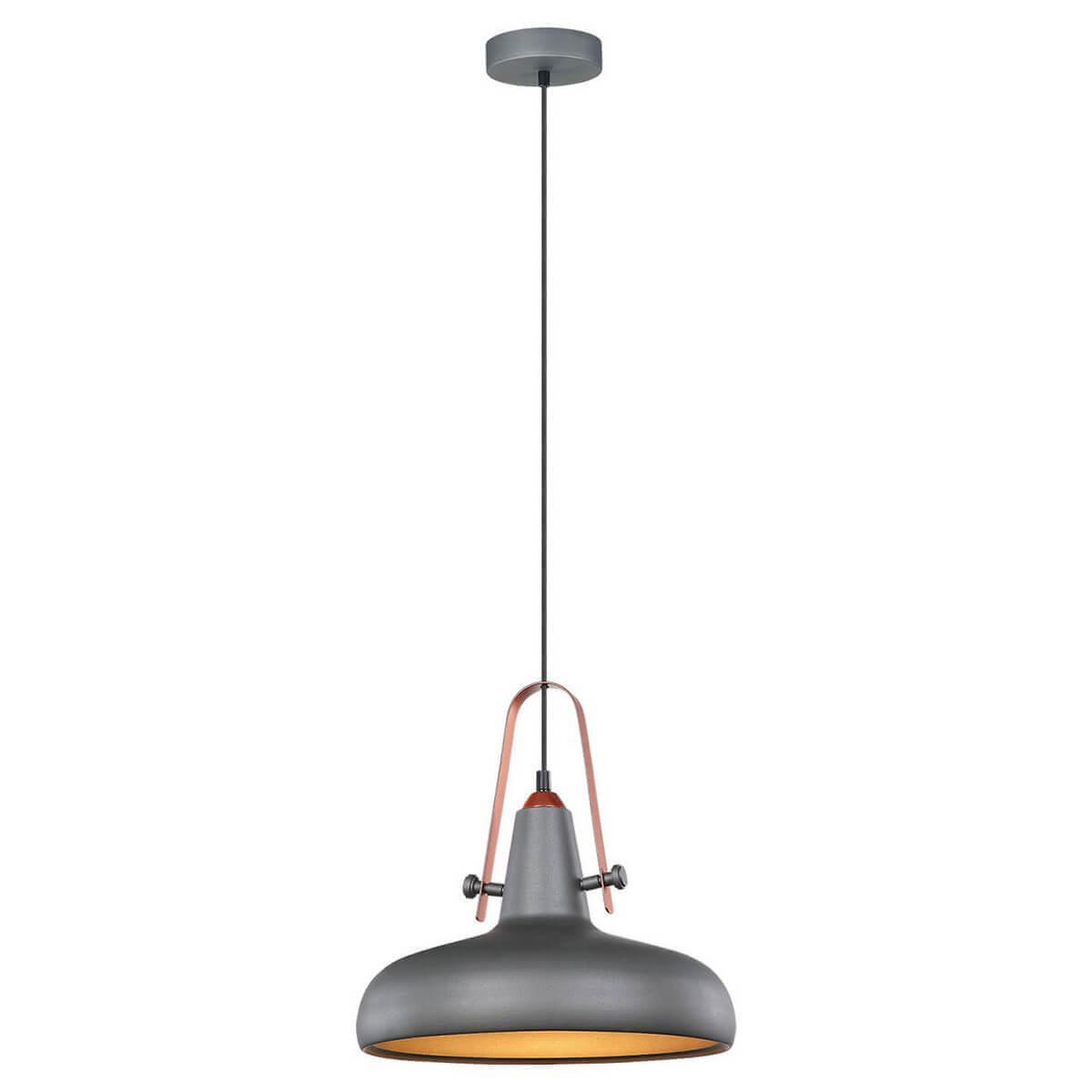 Картинка Подвесной светильник Lussole Loft GRLSP-9814