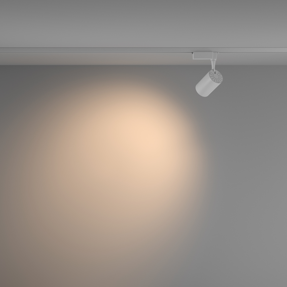Картинка Трековый светильник Technical TR003-1-10W3K-W-W Vuoro