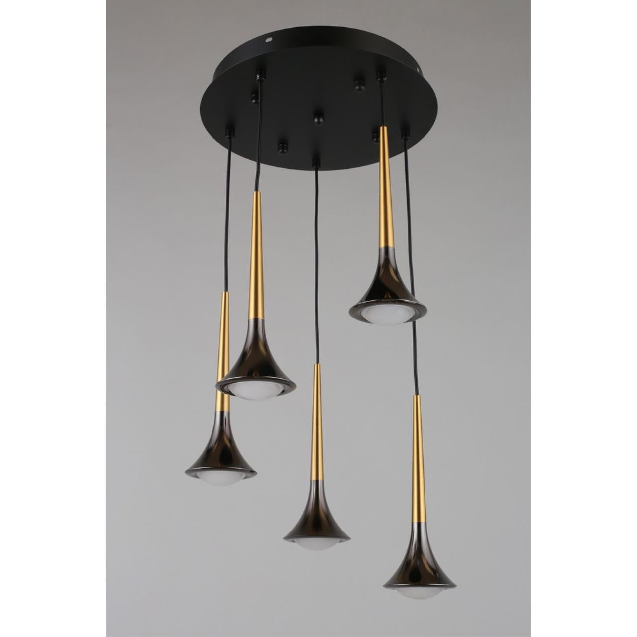 Картинка APL.784.06.05 Светильник подвесной Aployt Agas