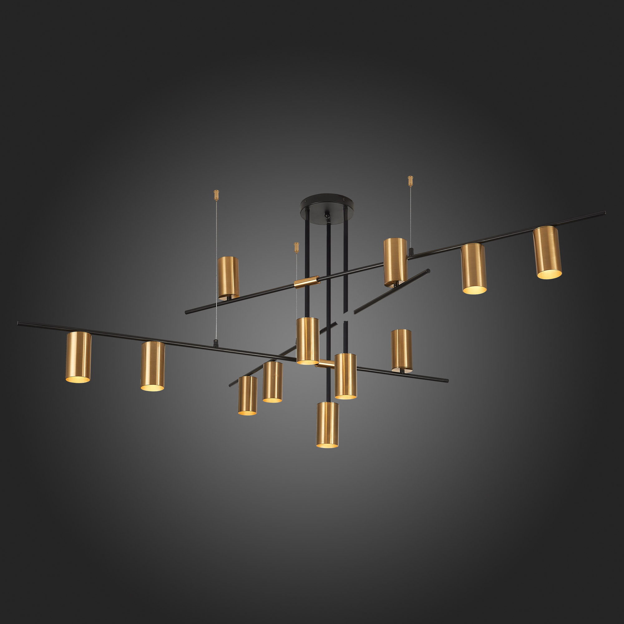 Картинка Подвесная люстра ST Luce Sormano SL1206.402.12