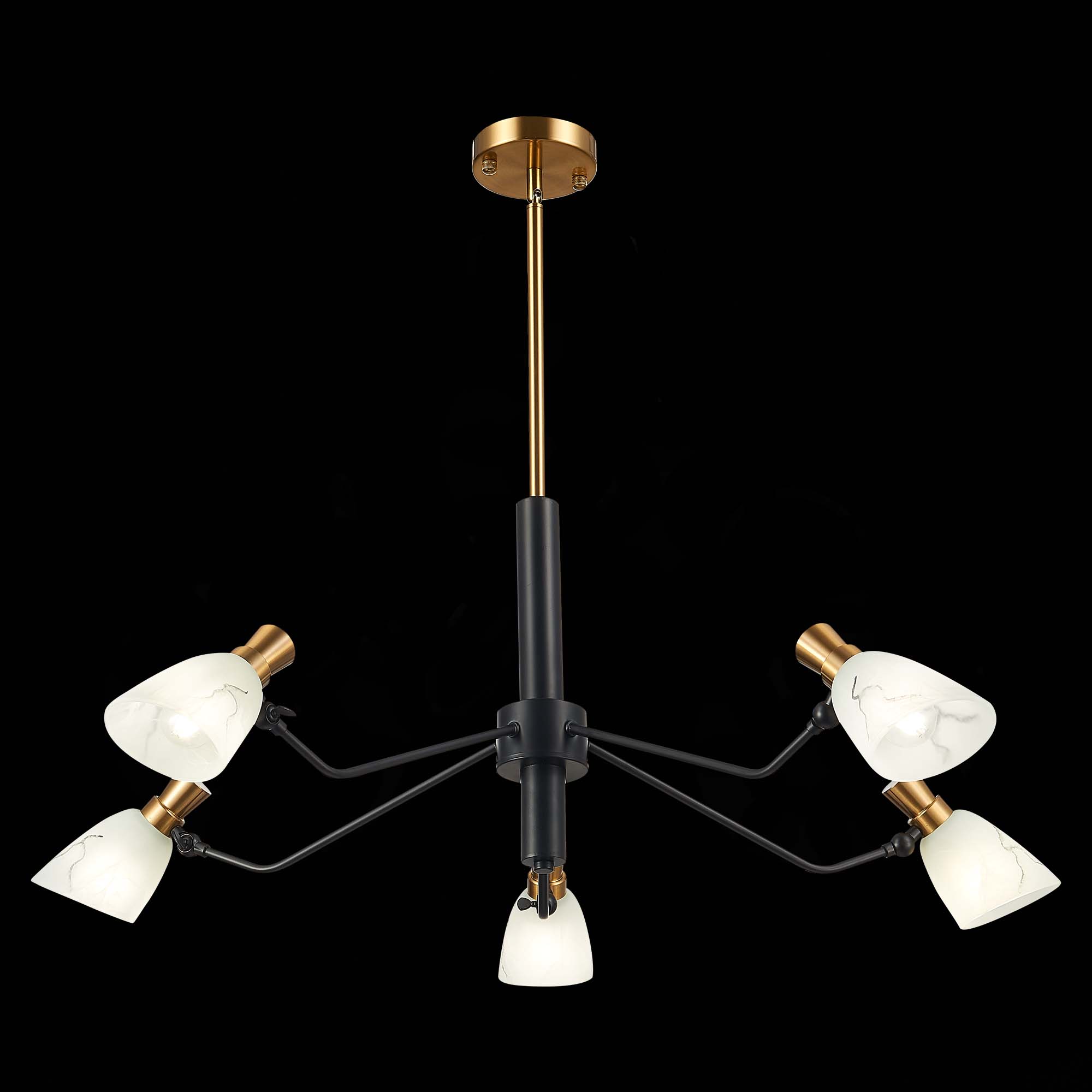 Картинка Подвесная люстра Evoluce Lita SLE205403-05