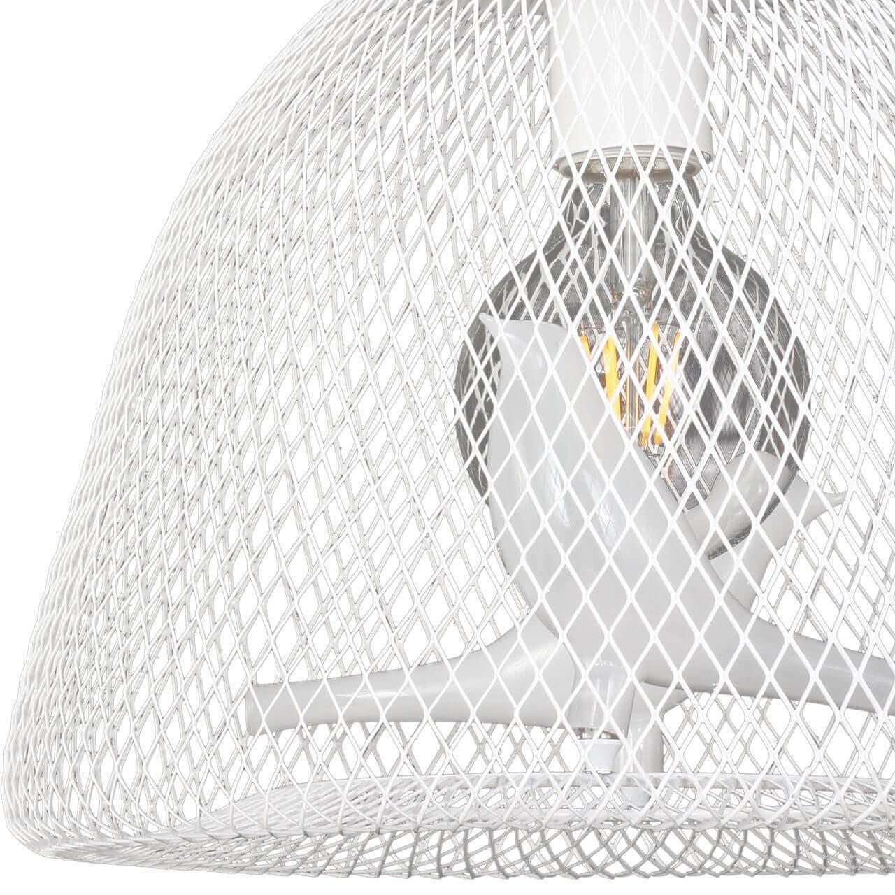 Картинка Подвесной светильник Favourite Gabbia 1753-1P