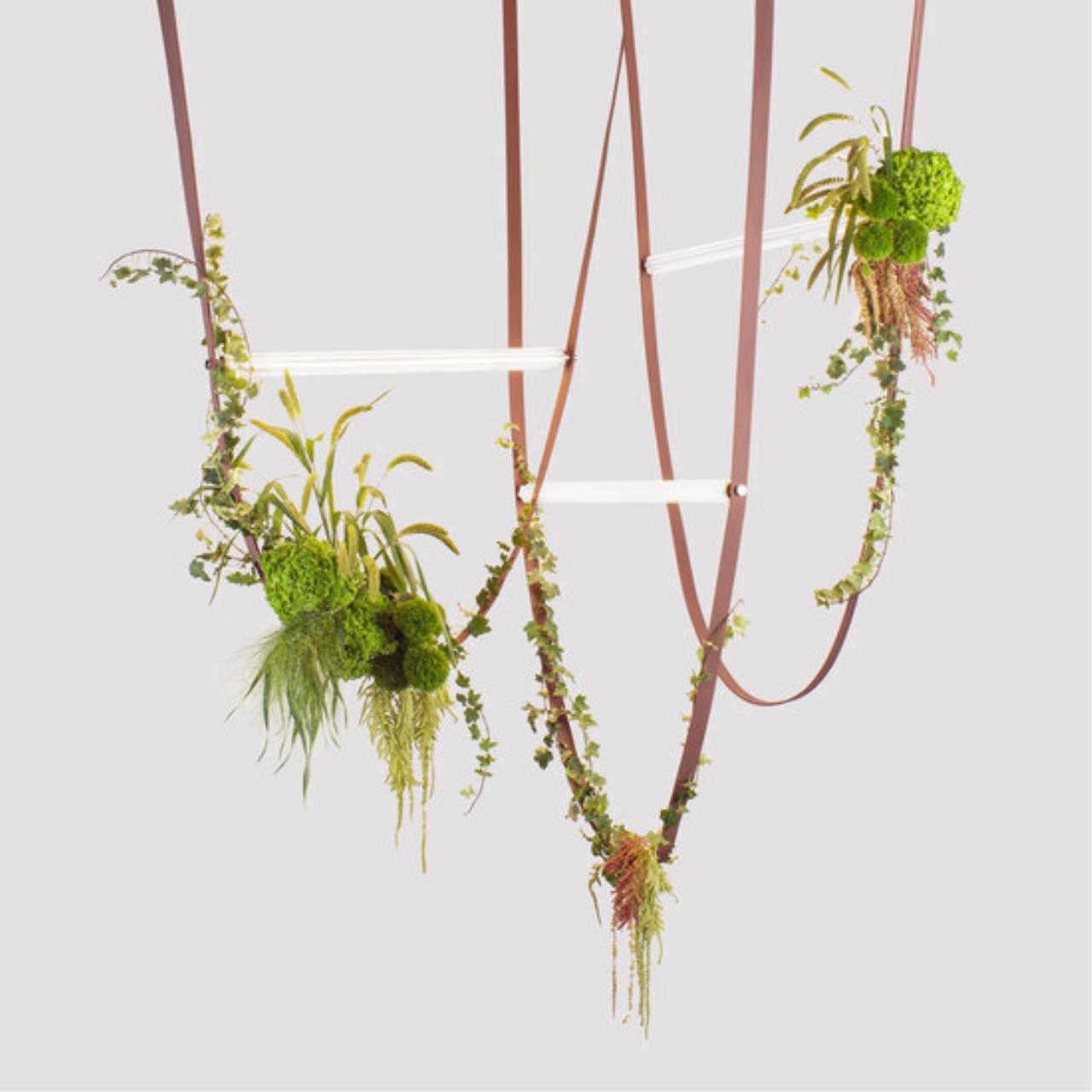 Картинка Подвесной светильник ALMATO Divinare 1128/34 SP-80