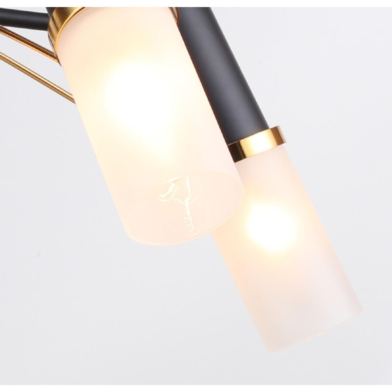 Картинка Потолочная люстра F-Promo Viator 2558-5P