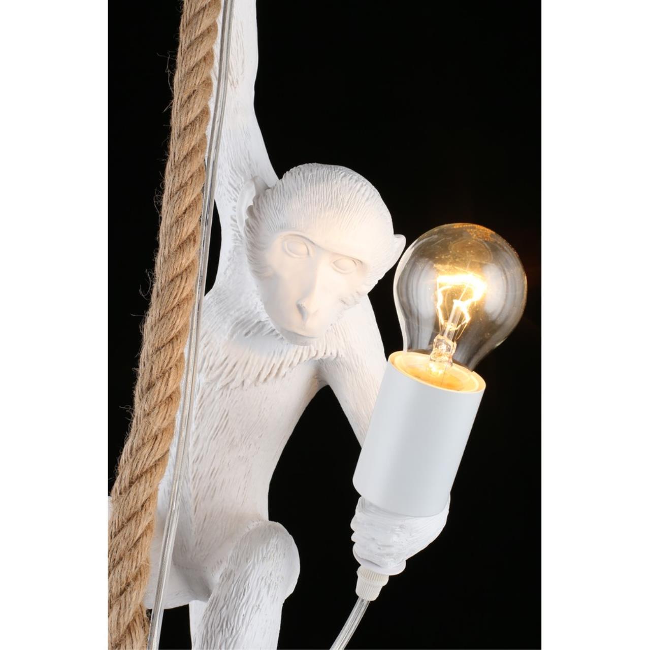 Картинка Подвесной светильник Aployt Magali APL.309.06.01