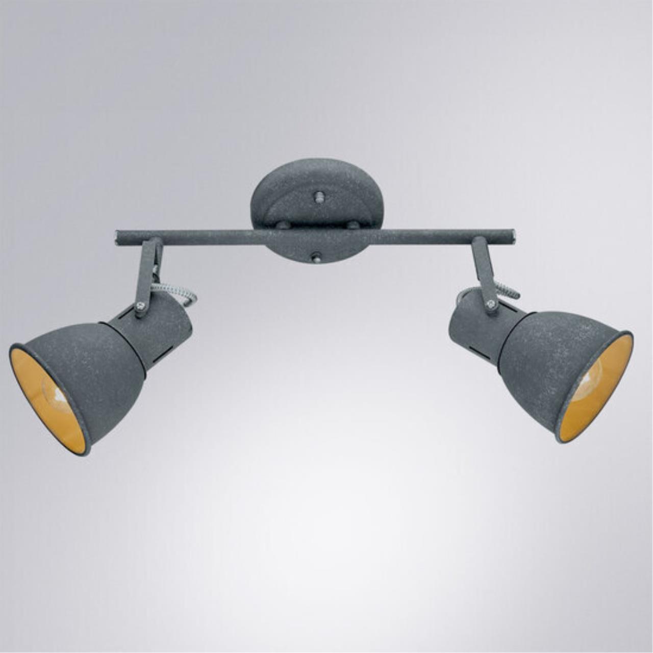 Картинка Спот Arte Lamp A1677PL-2GY