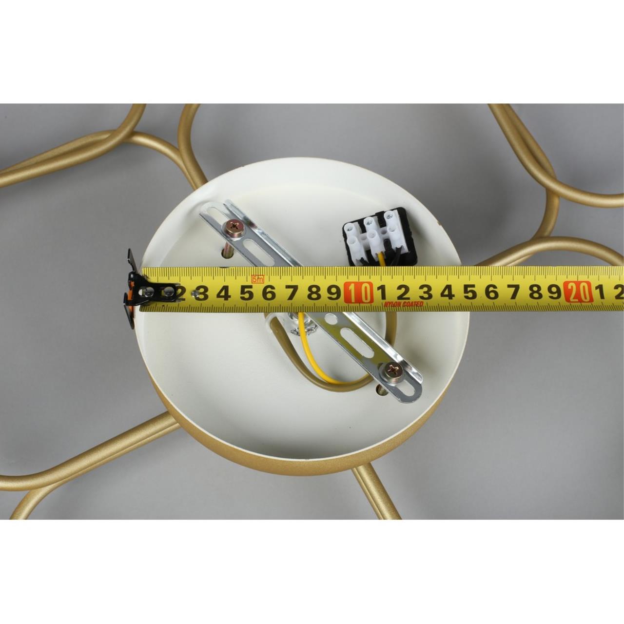 Картинка Потолочная люстра Aployt Elison APL.911.07.09