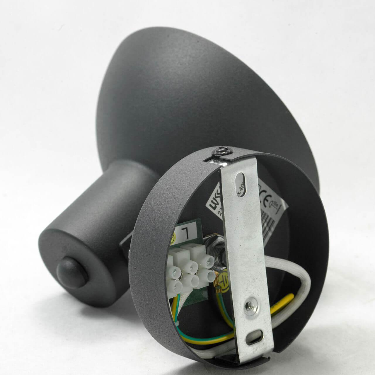 Картинка Спот Lussole Loft LSP-9973