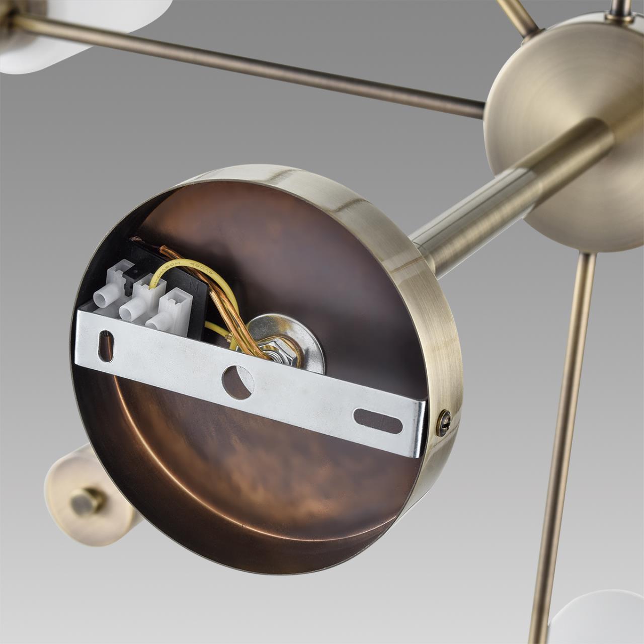 Картинка 8100/12C Lumion Люстра потолочная MAVE