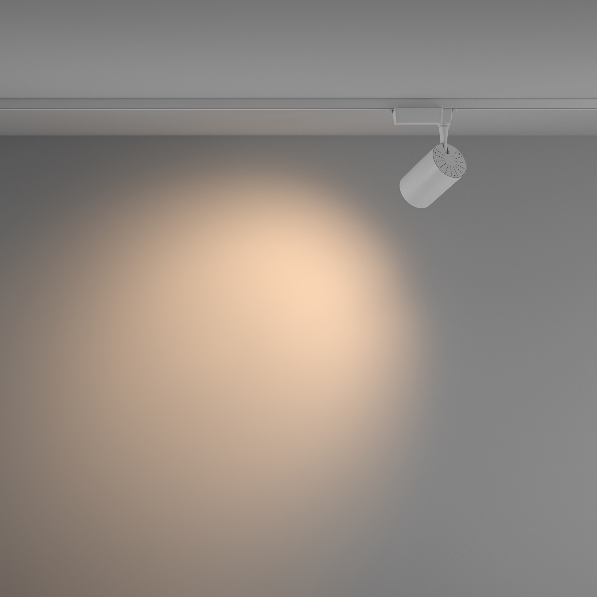 Картинка Трековый светильник Technical TR003-1-26W3K-W-W