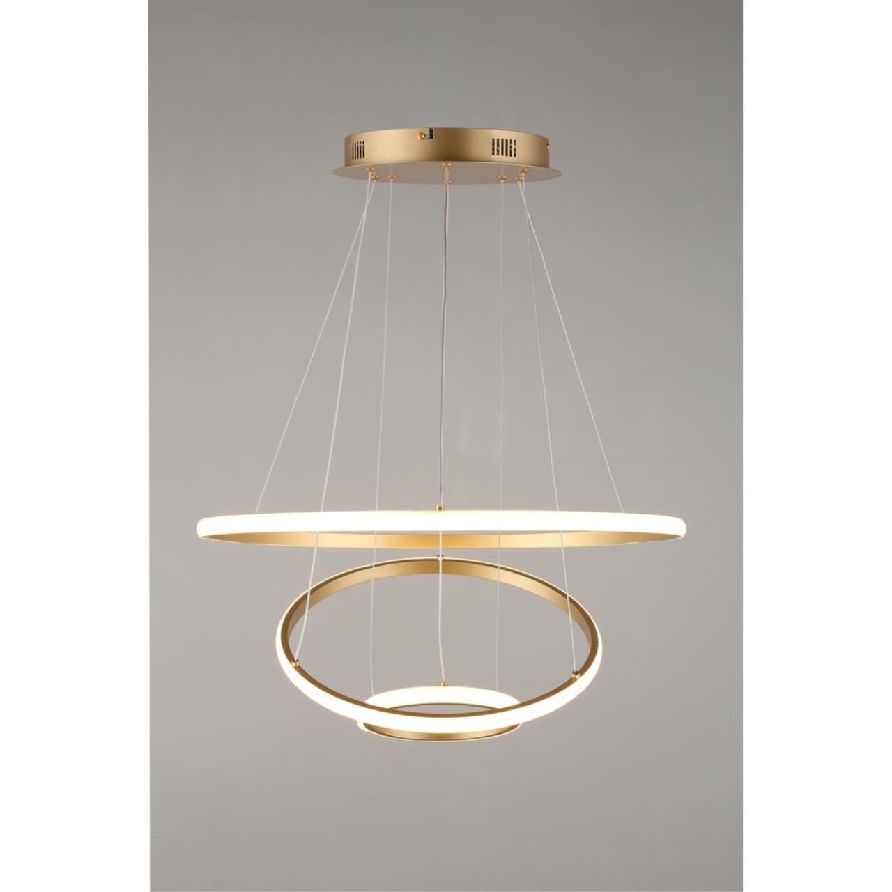 Картинка Подвесная светодиодная люстра Aployt Janina APL.018.13.60