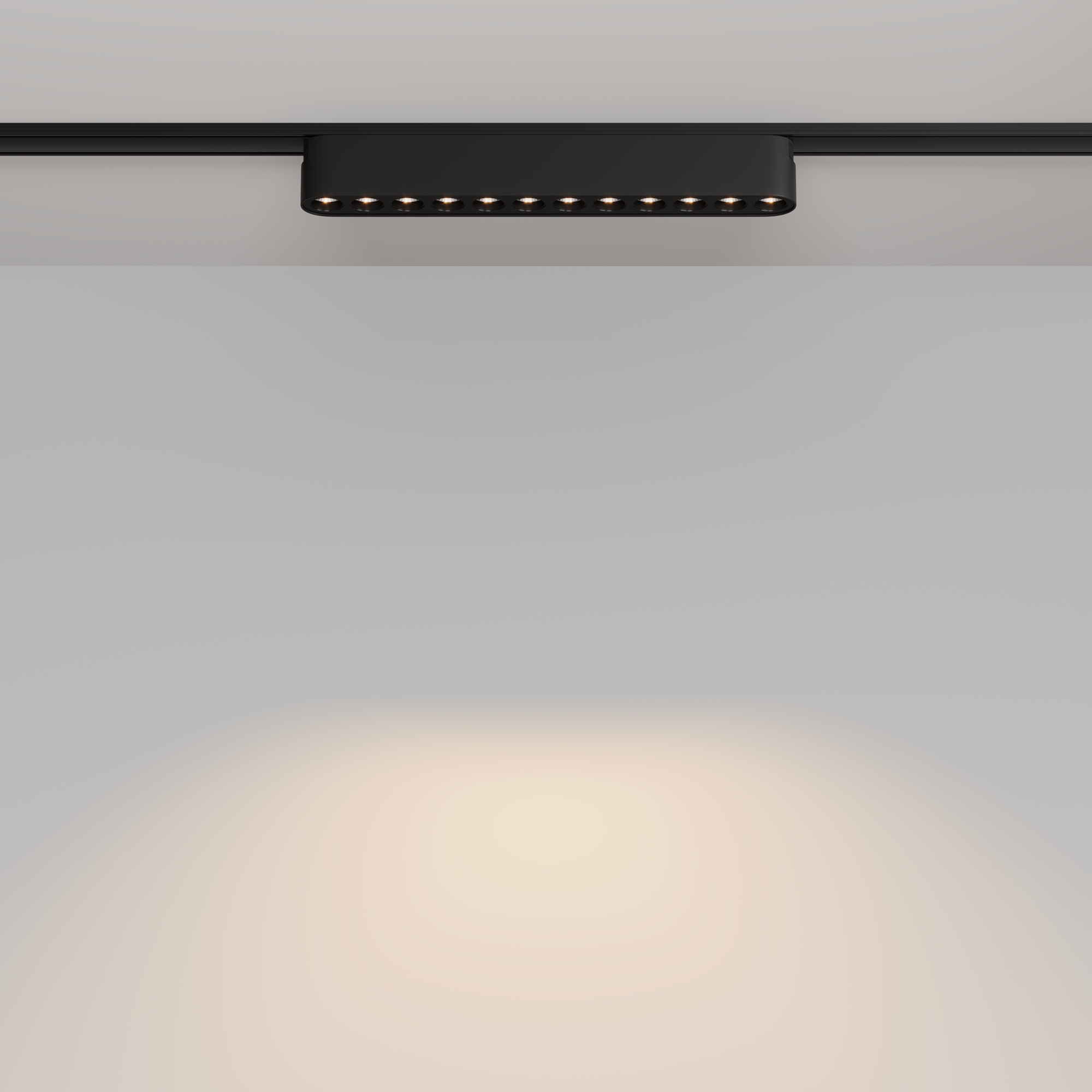 Картинка Трековый светильник Technical TR082-1-12W3K-M-B