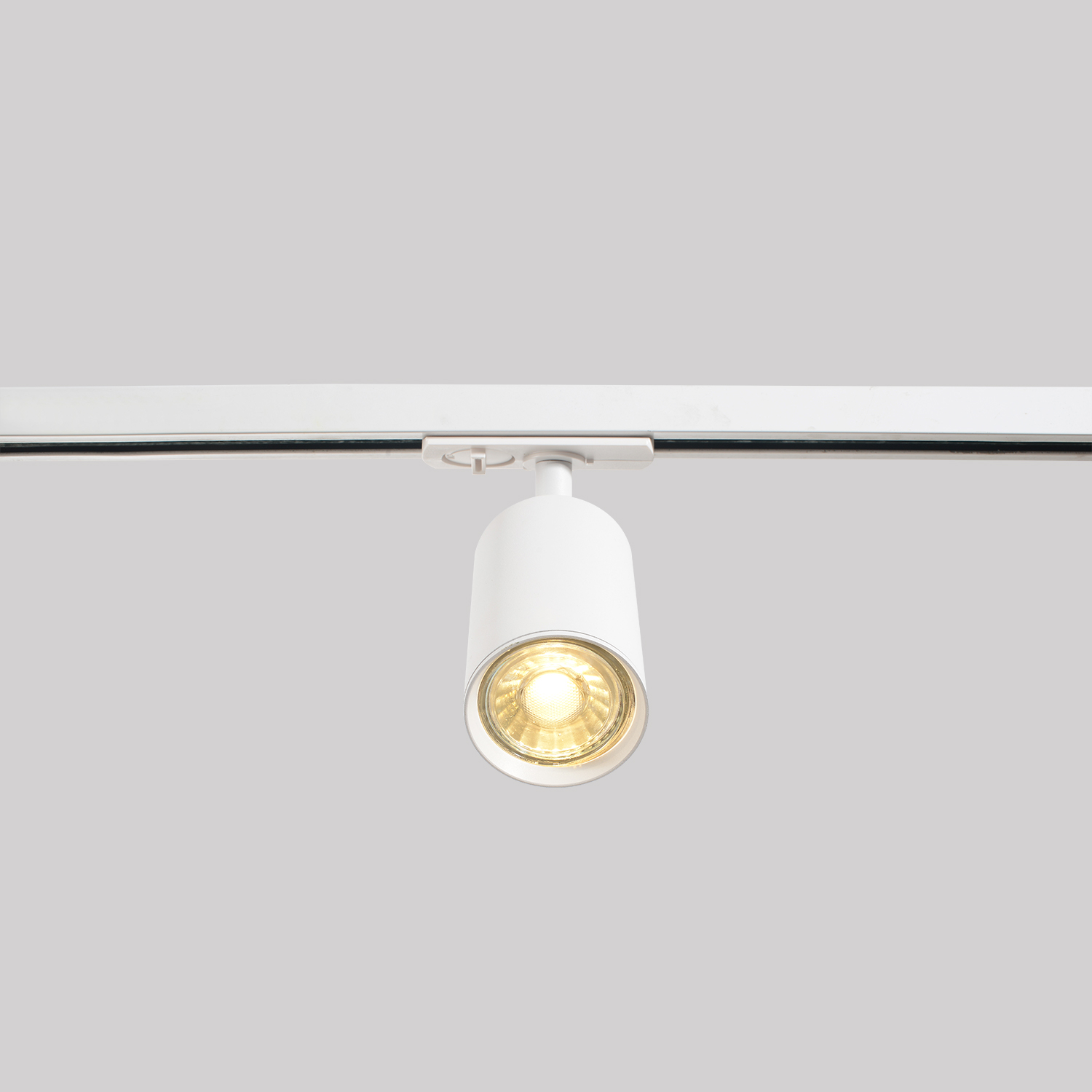 Картинка Светильник однофазный Crystal Lux 1409/063