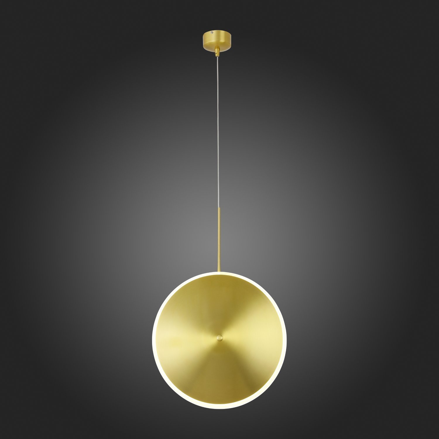 Картинка Подвесной светодиодный светильник ST Luce Imente SL1221.213.01