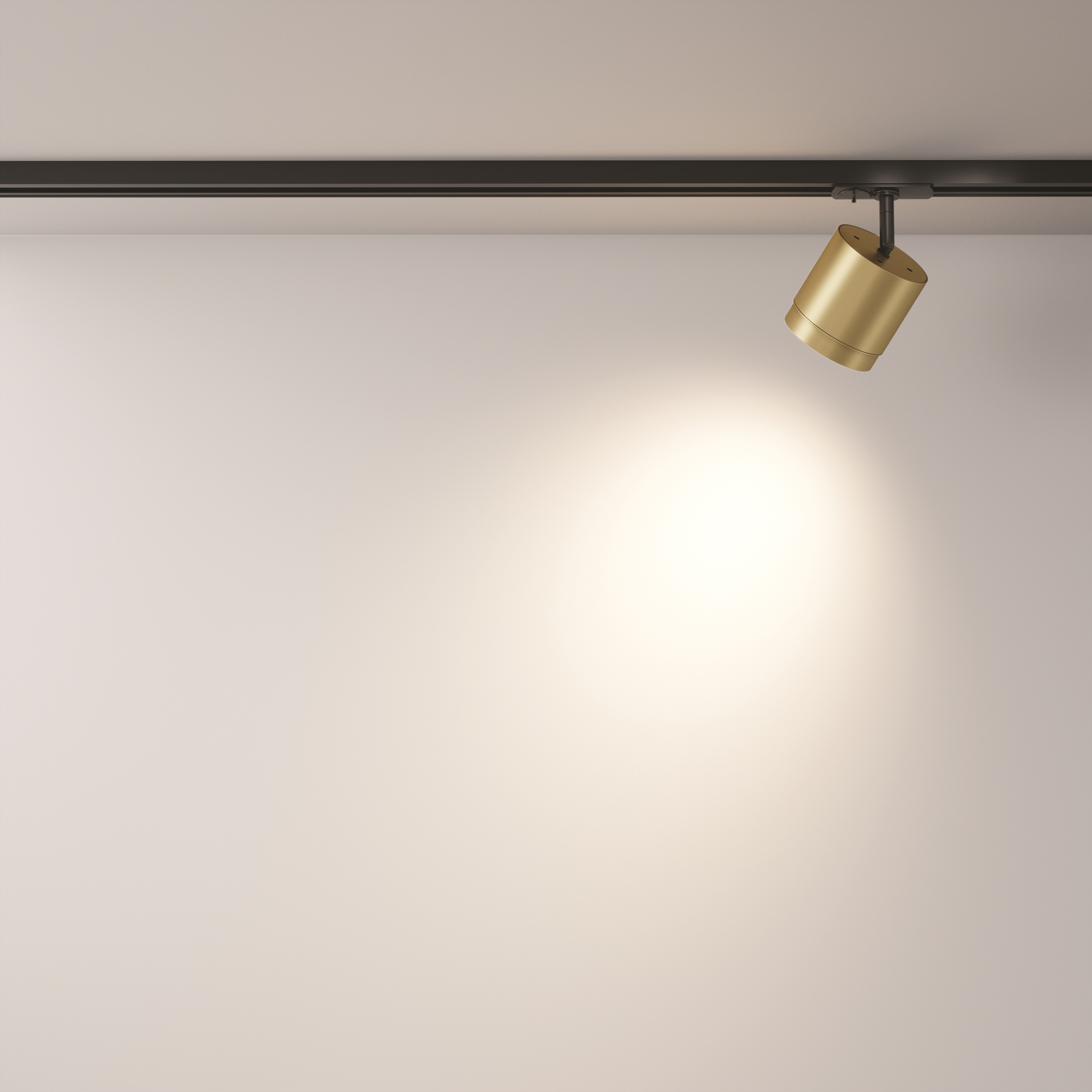 Картинка Трековый светильник Technical TR088-1-GX53-MG