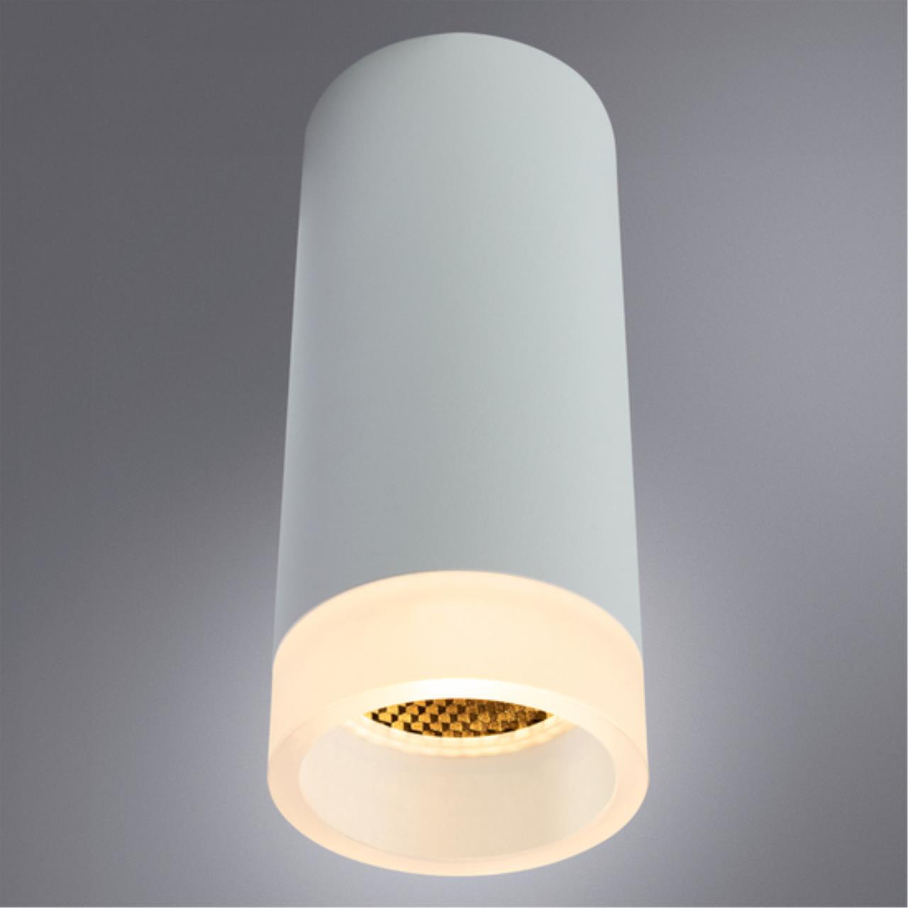 Картинка Потолочный светильник Arte Lamp Ogma A5556PL-1WH