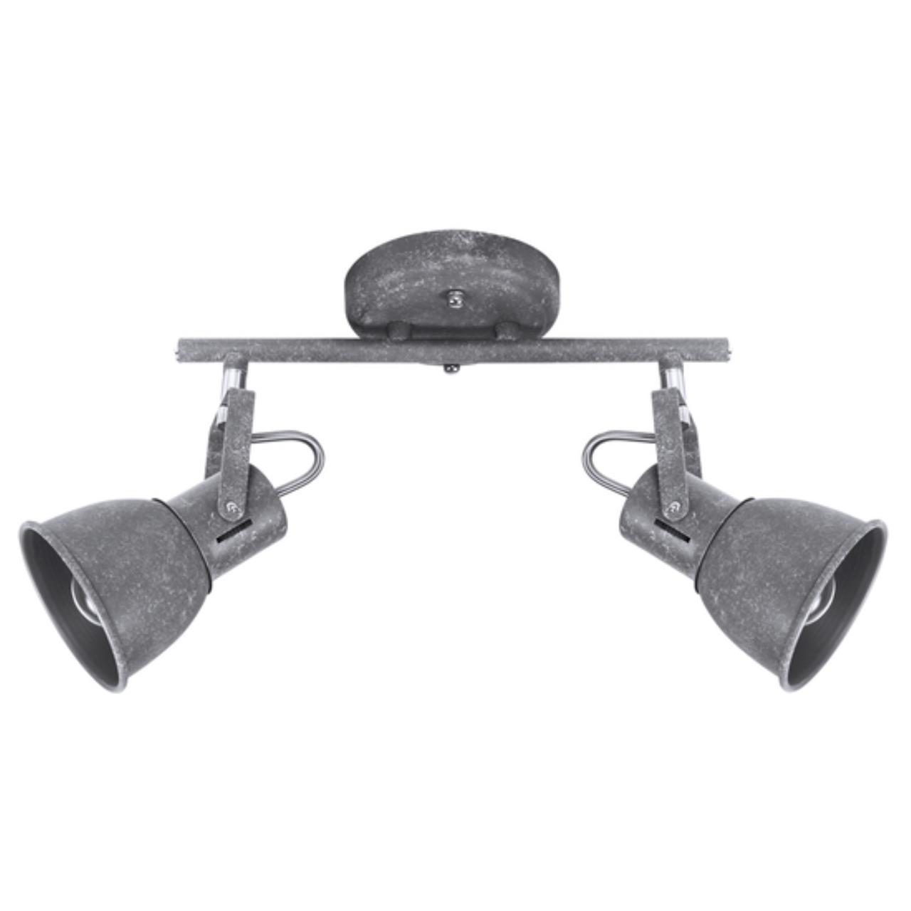 Картинка Спот Arte Lamp A1677PL-2GY