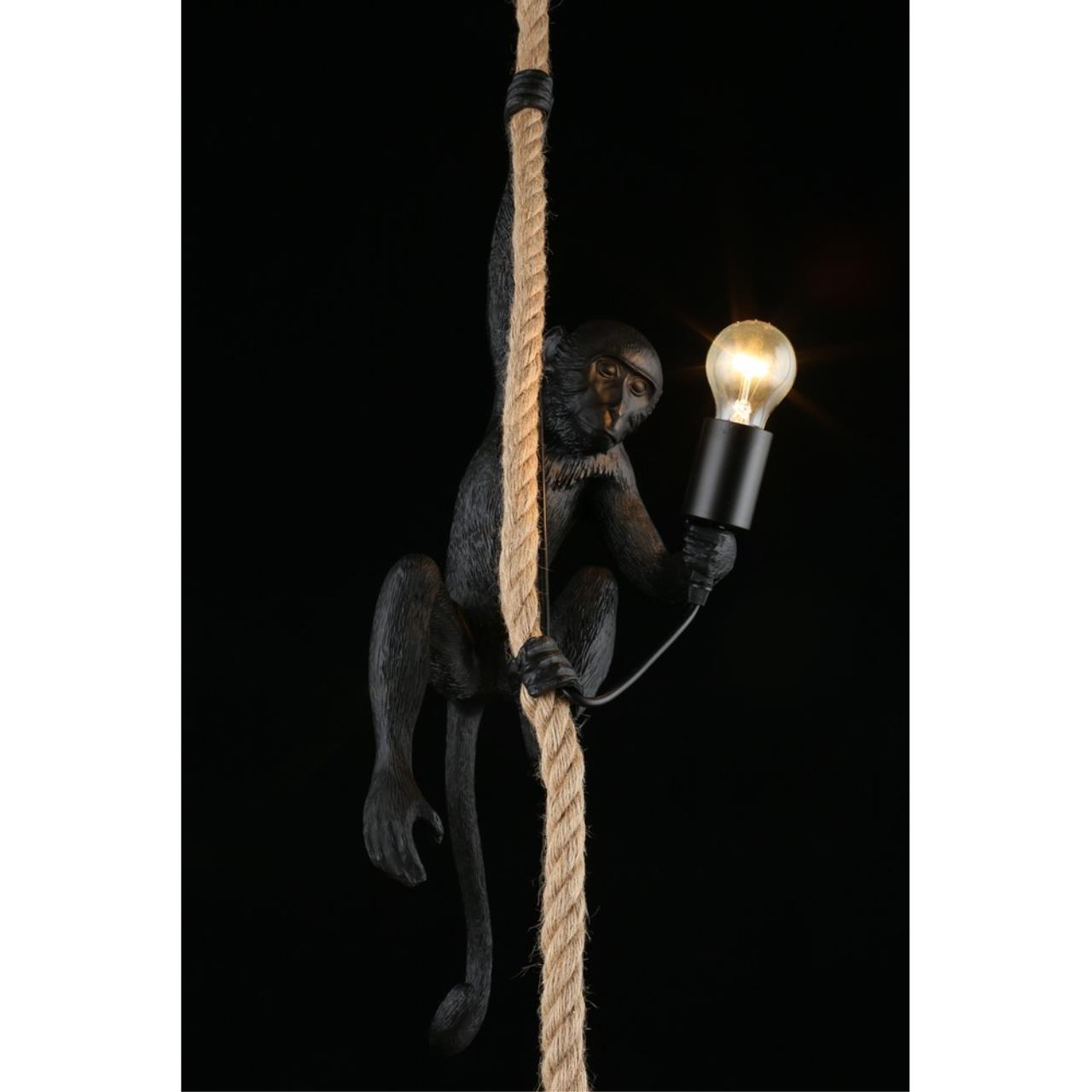 Картинка Подвесной светильник Aployt Magali APL.309.16.01