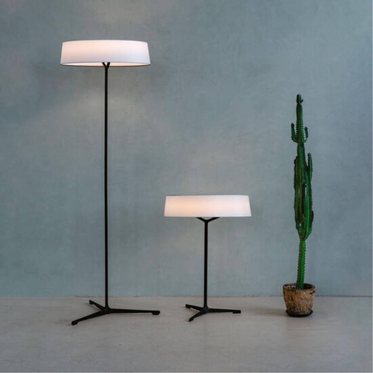 Картинка Торшер Divinare ALMA 1029/06 PN-11