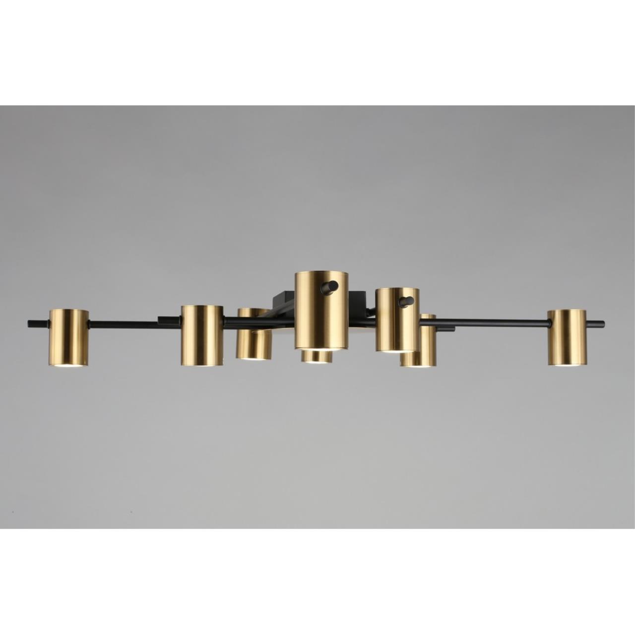 Картинка Потолочная люстра Aployt Elwisia APL.633.07.08