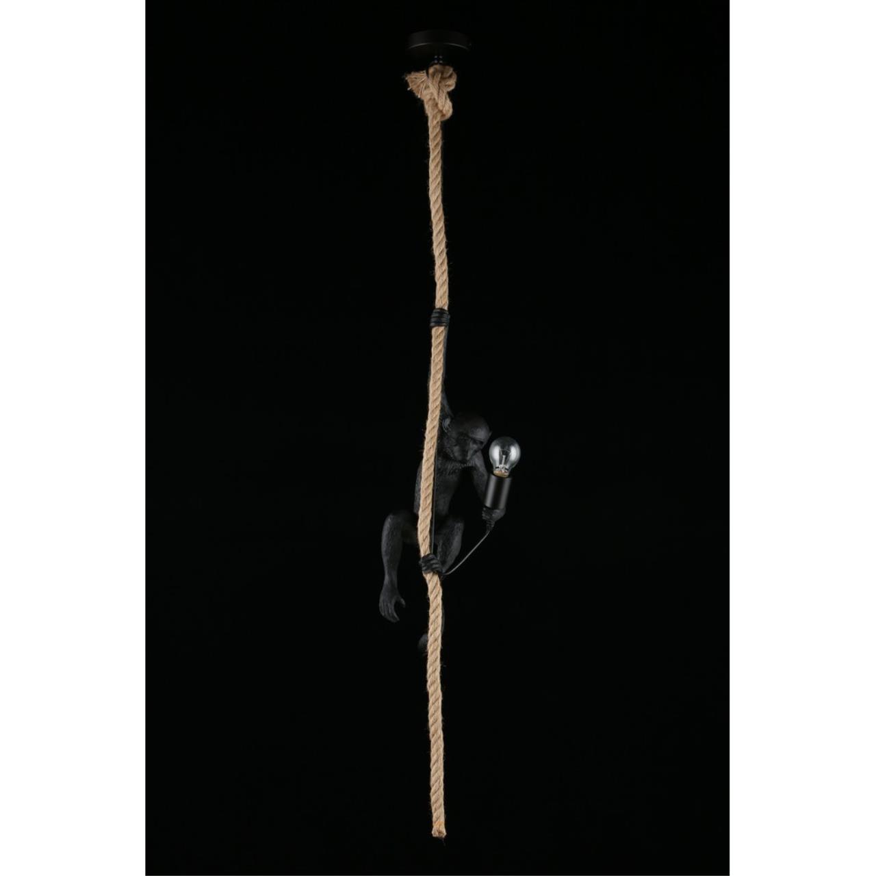 Картинка Подвесной светильник Aployt Magali APL.309.16.01