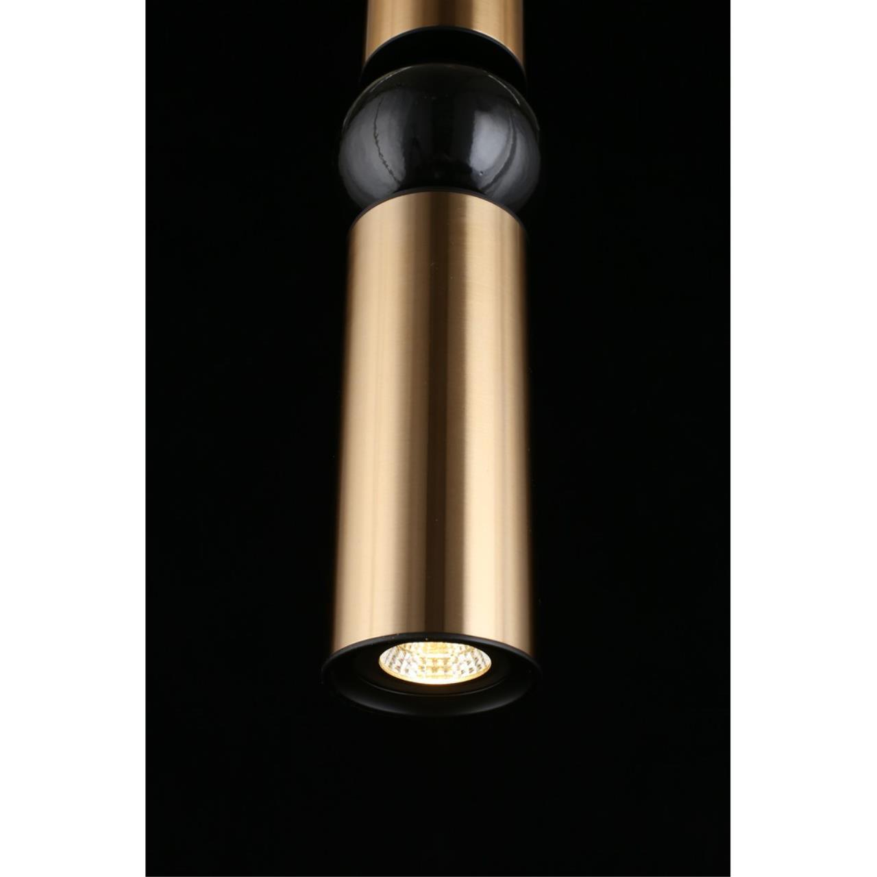 Картинка Подвесной светильник Aployt Brizhit APL.615.16.01