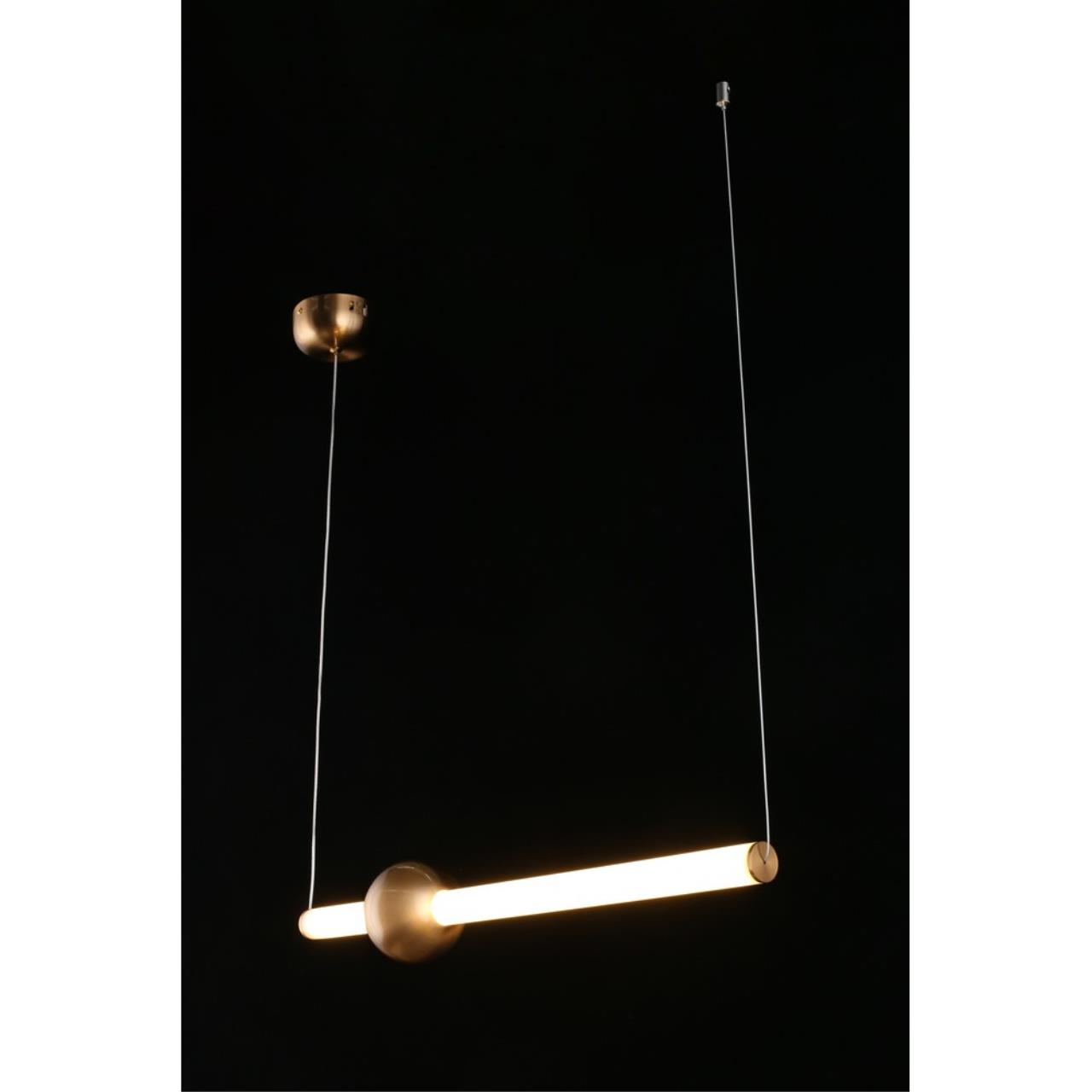 Картинка Подвесной светодиодный светильник Aployt Zhozefin APL.038.16.20