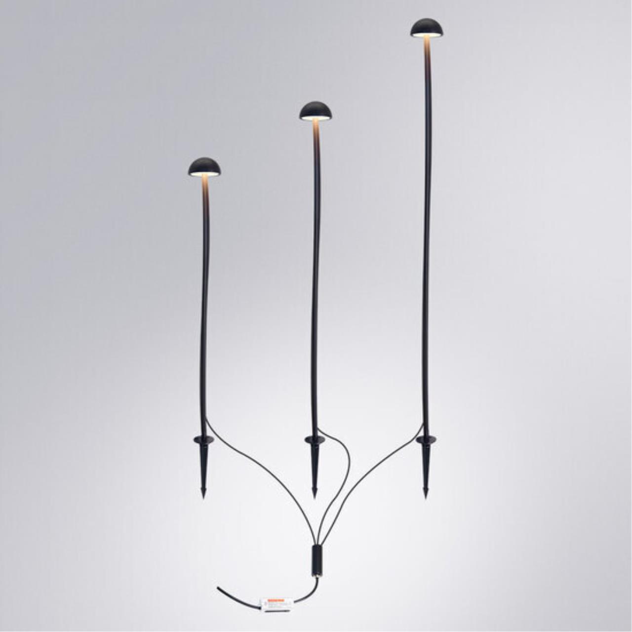 Картинка Грунтовый светильник Arte Lamp MOTUS A1081PA-3BK