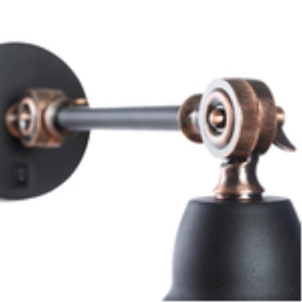 Картинка Спот Arte Lamp Braccio A2054AP-1BK