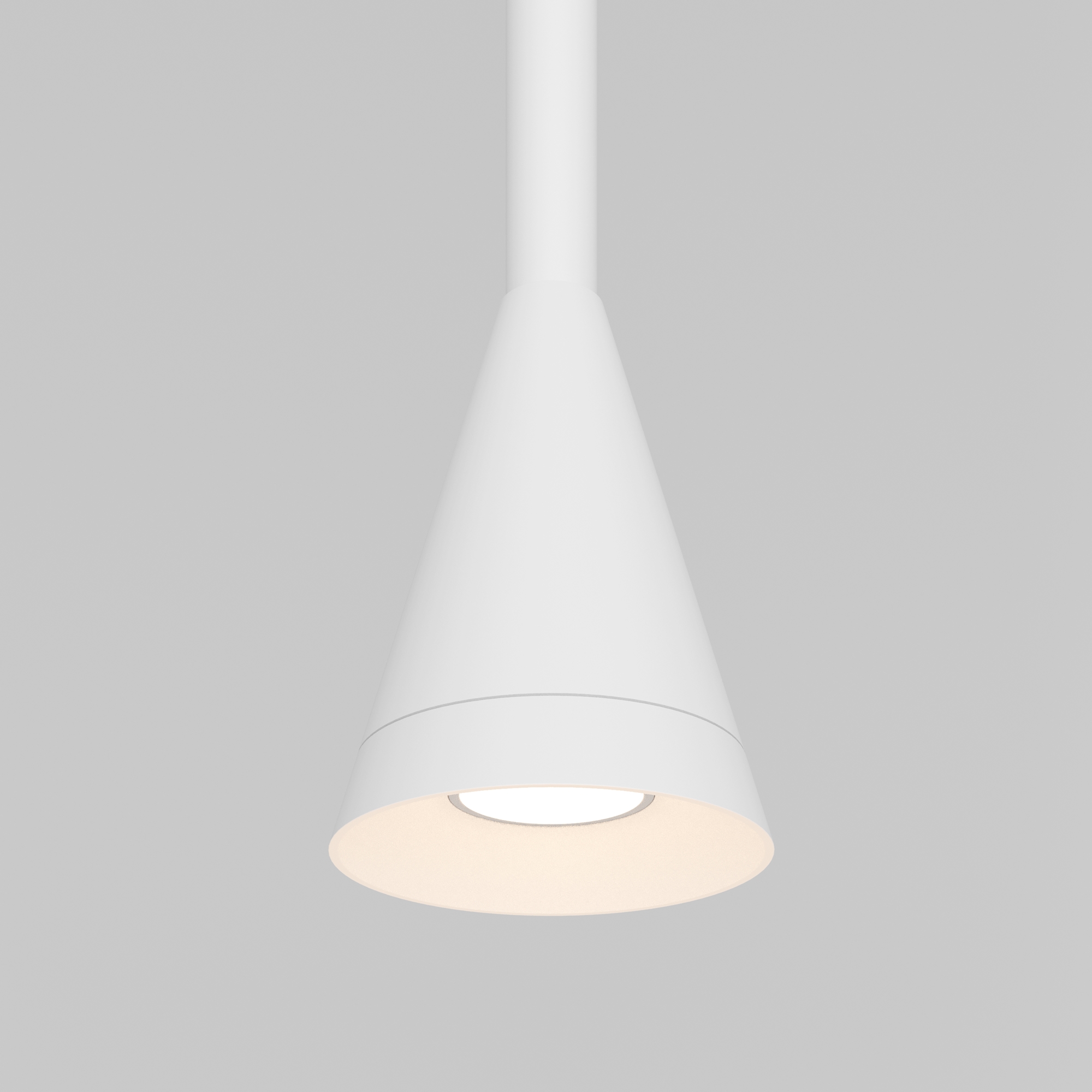 Картинка Подвесной светильник Technical P064PL-01W-1