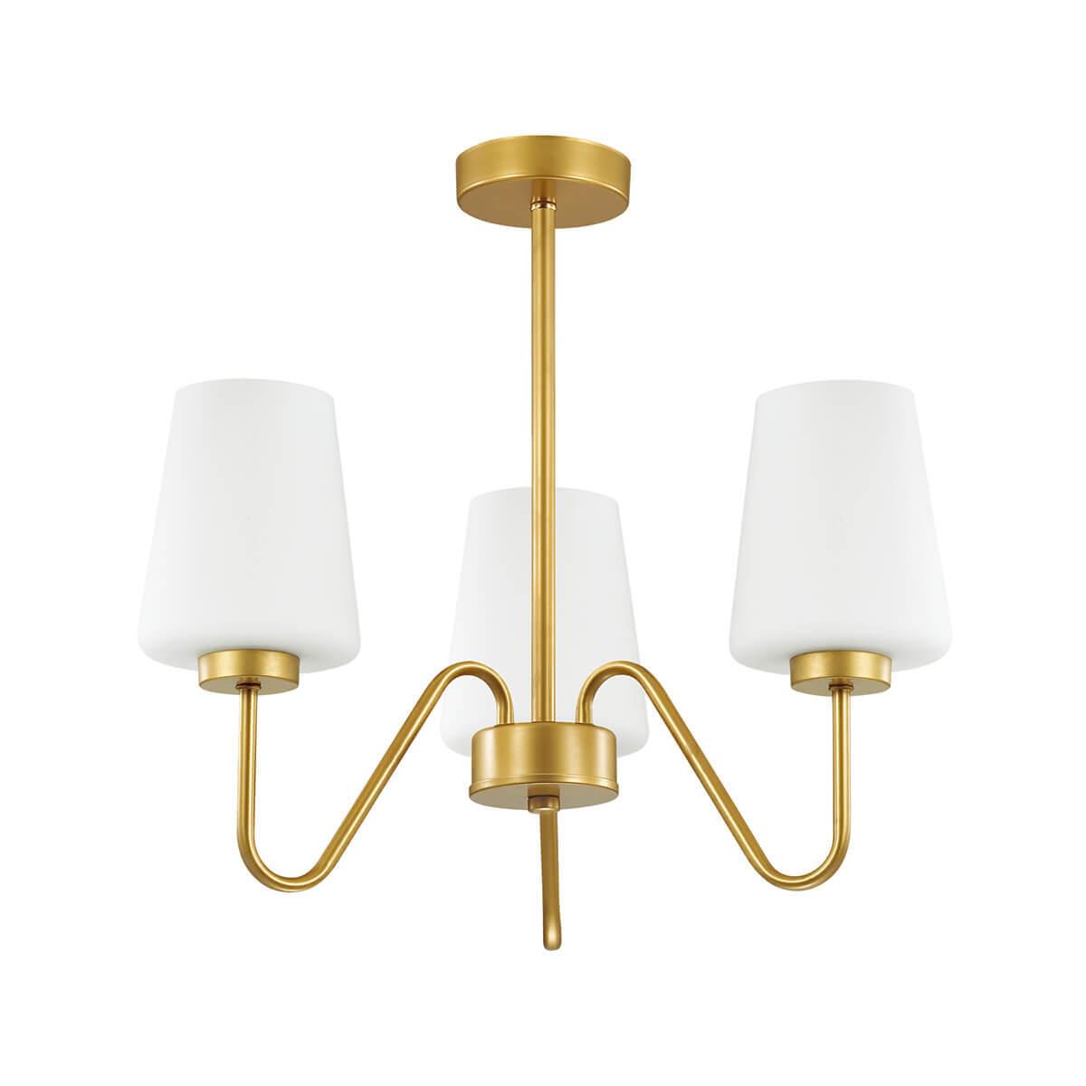 Картинка Подвесная люстра Lumion Olivia 3791/3C