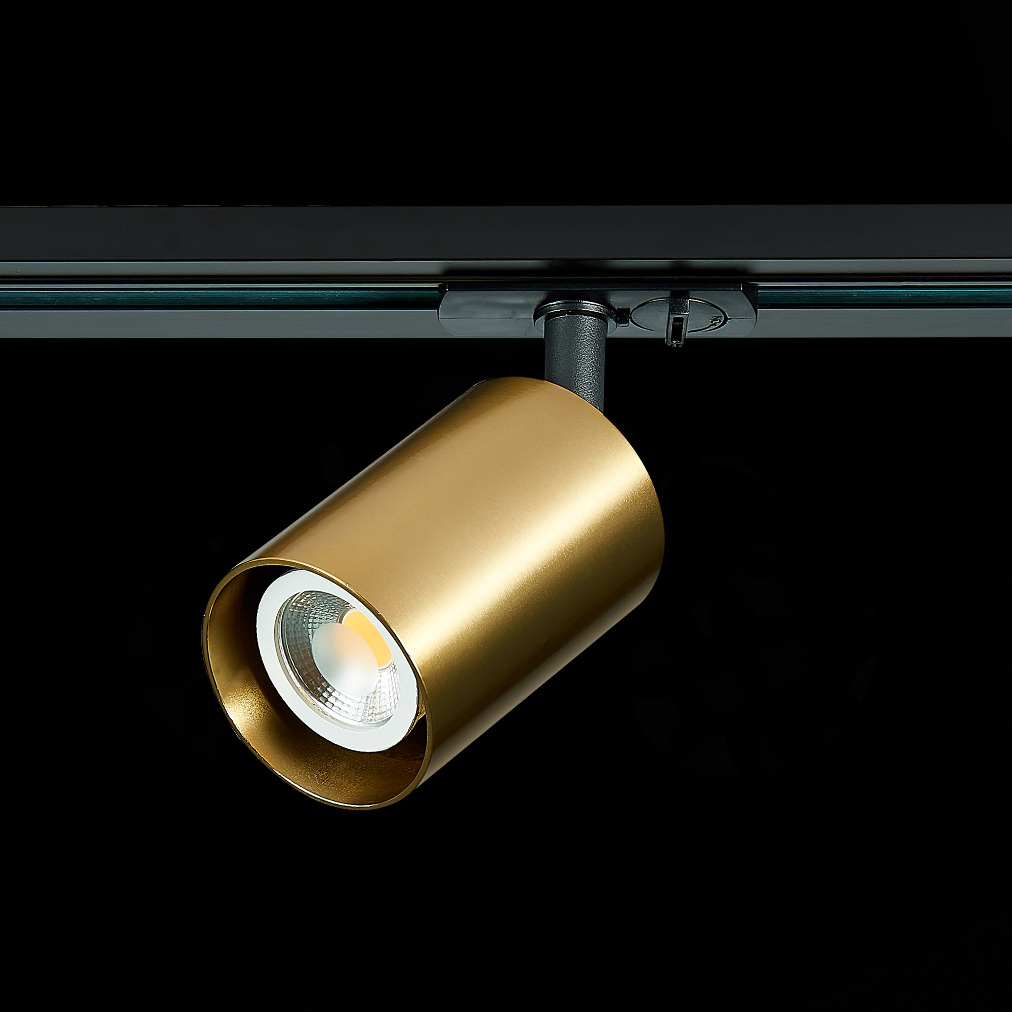 Картинка Трековый светильник ST Luce ST302.206.01