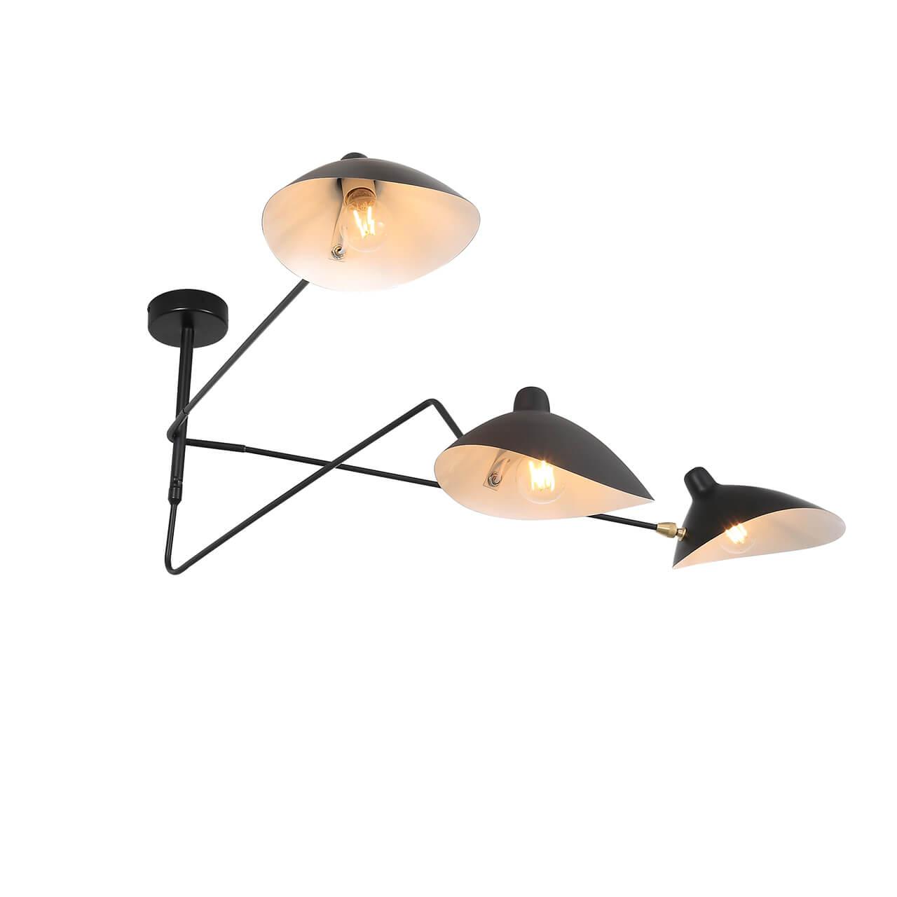 Картинка Потолочная люстра ST Luce Spruzzo SL305.402.03