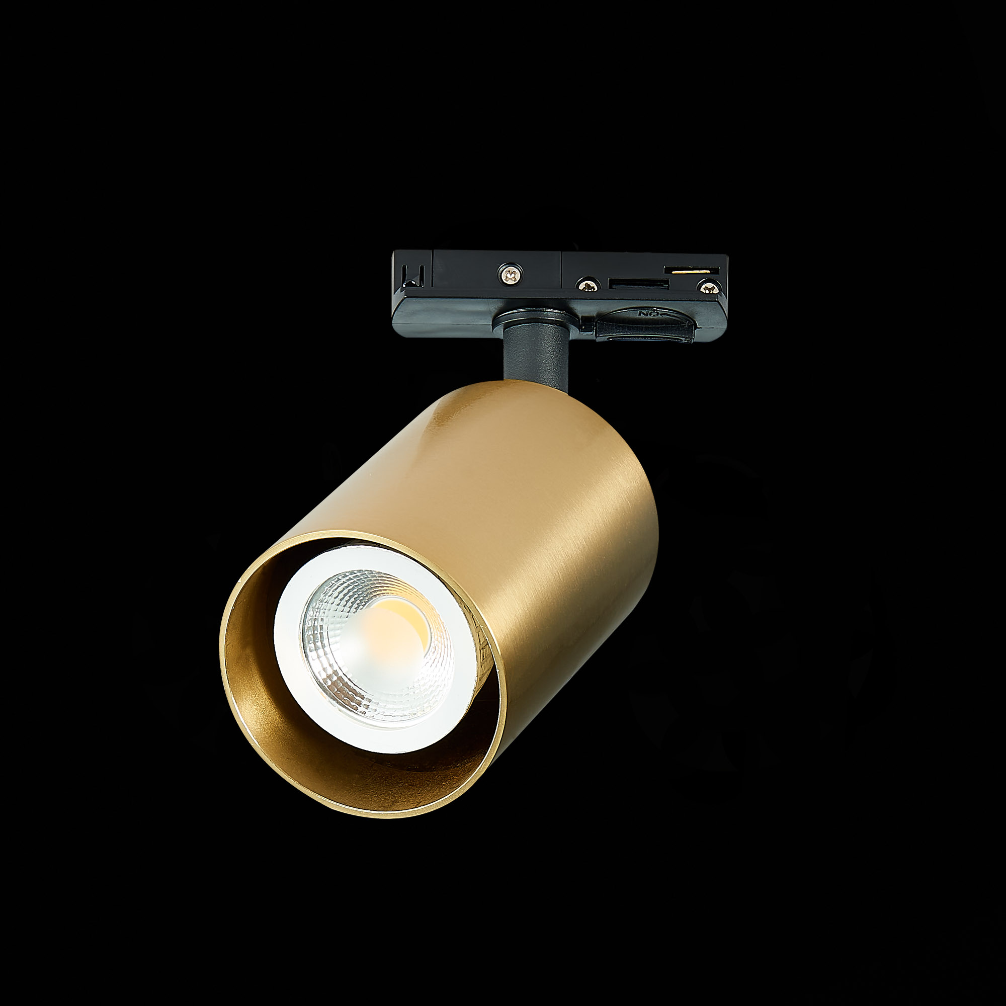 Картинка Трековый светильник ST Luce ST302.206.01