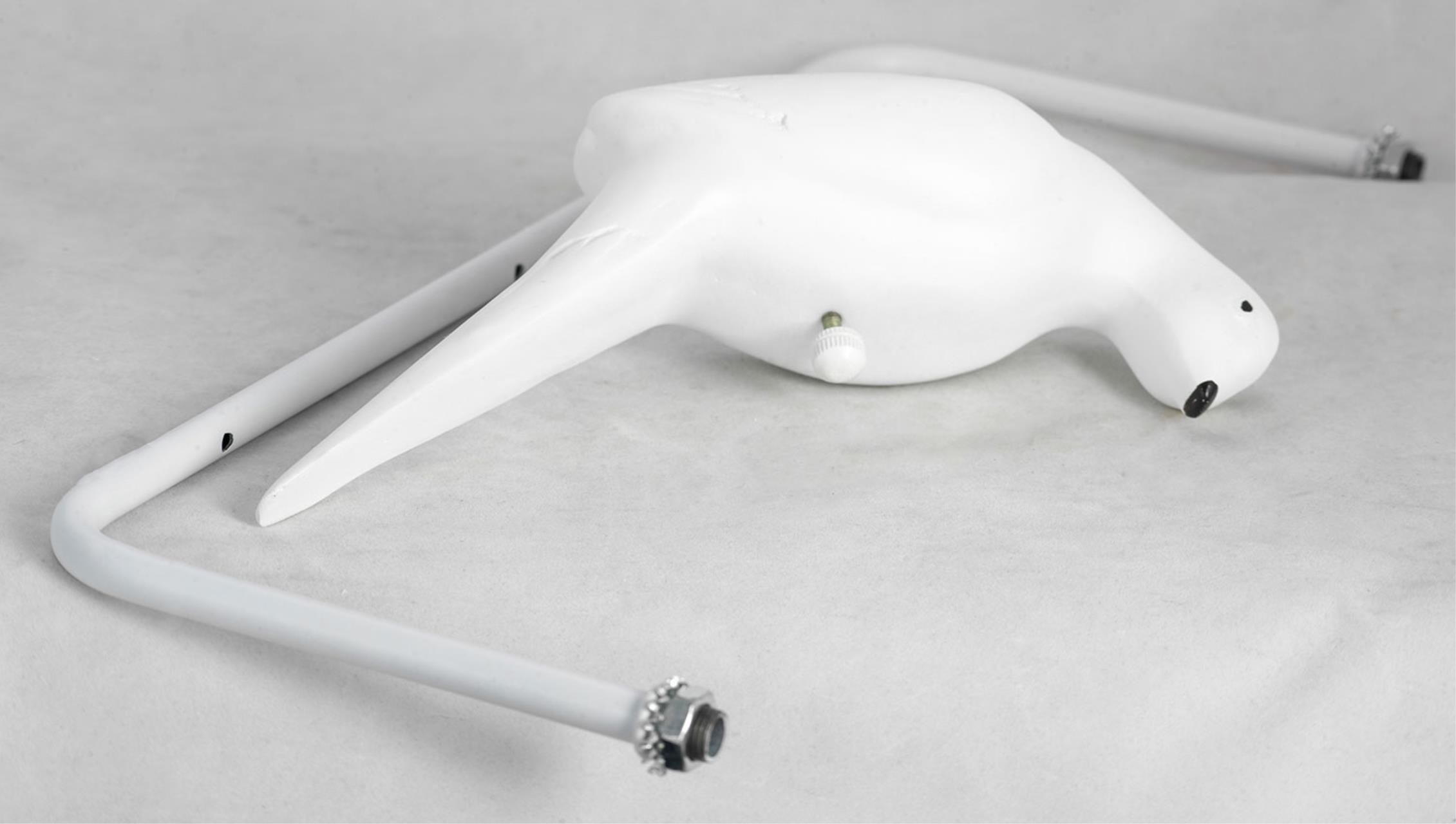 Картинка Подвесной светильник Lussole Lgo Dove LSP-8221