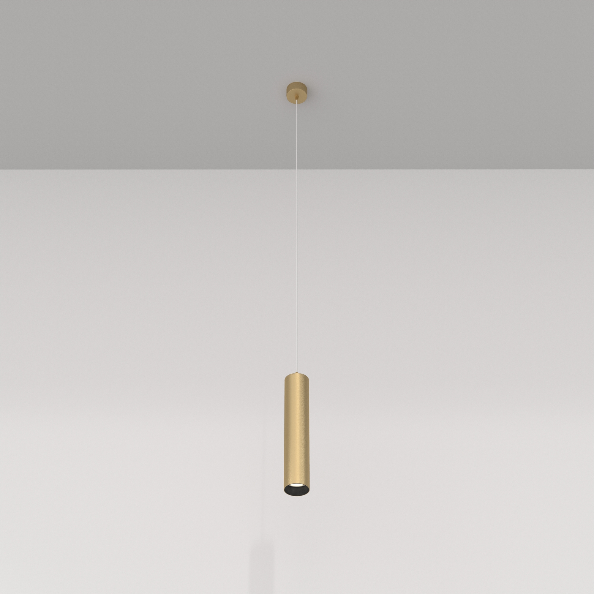 Картинка Подвесной светильник Technical P075PL-01MG