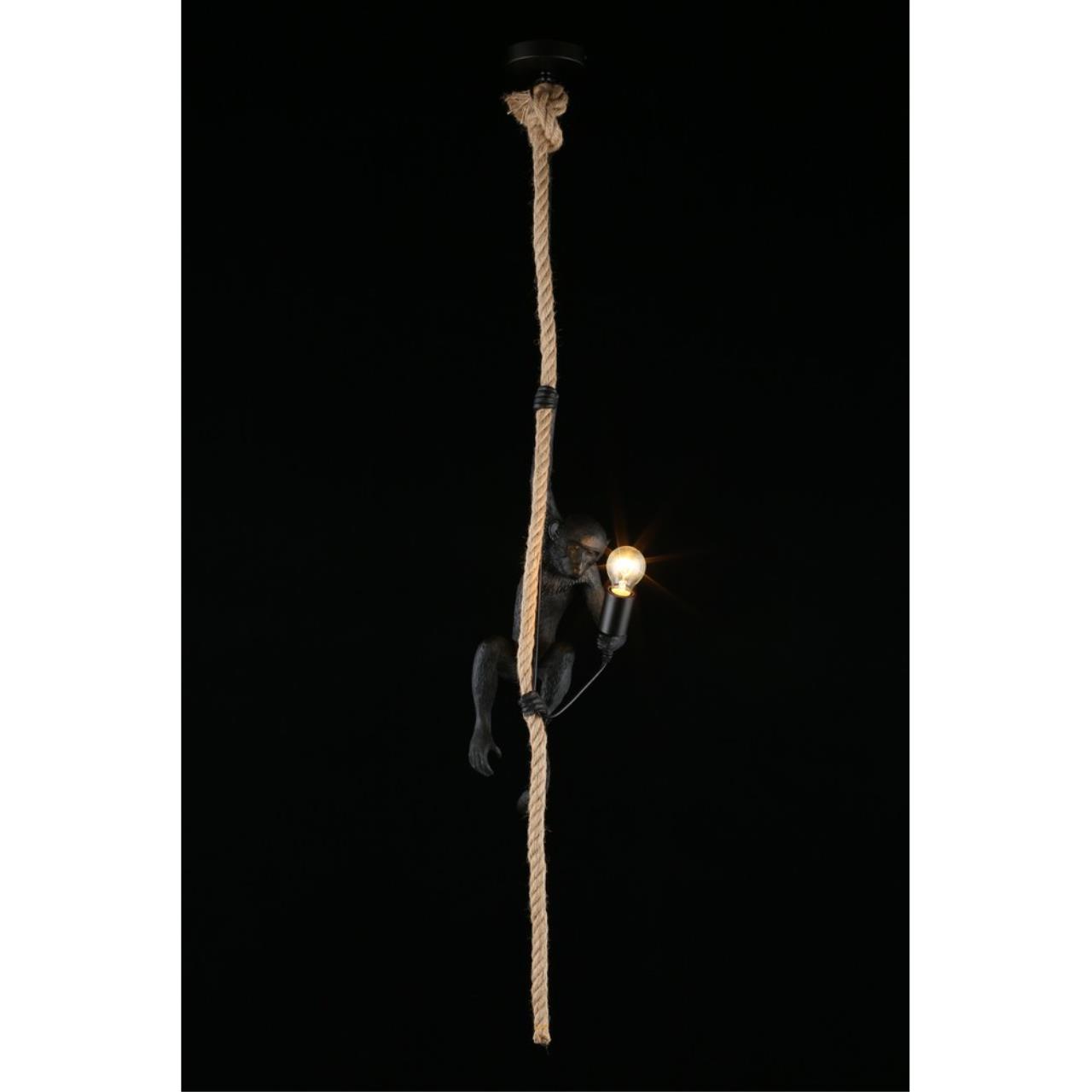 Картинка Подвесной светильник Aployt Magali APL.309.16.01