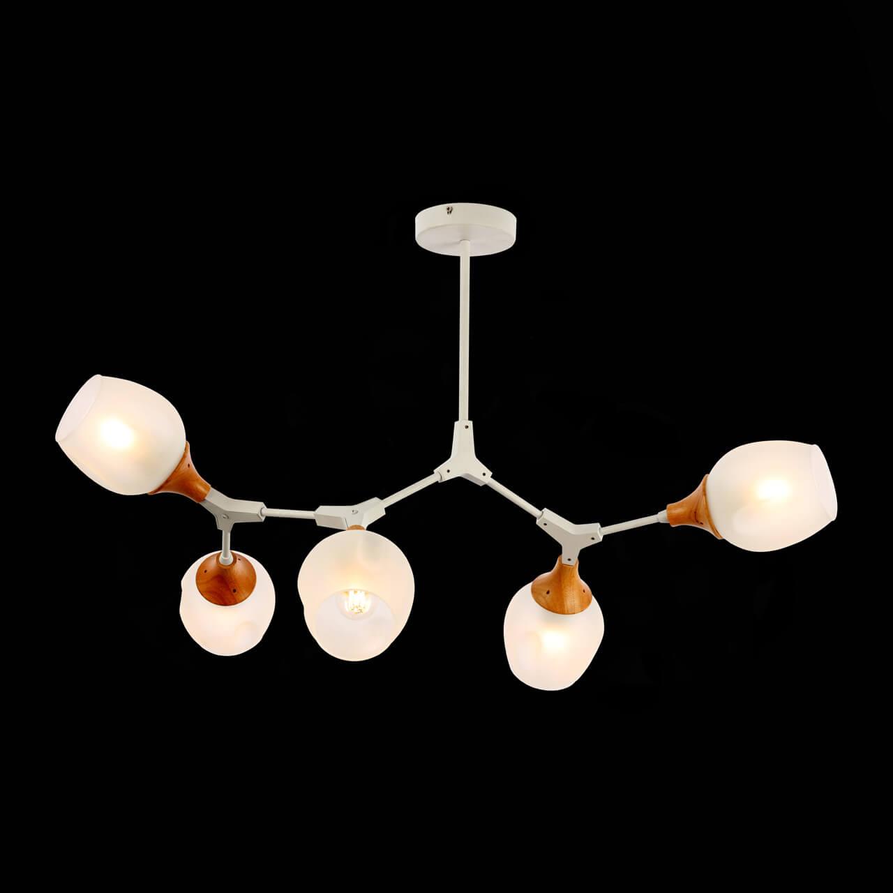 Картинка Потолочная люстра Evoluce Ciotolla SLE113502-05