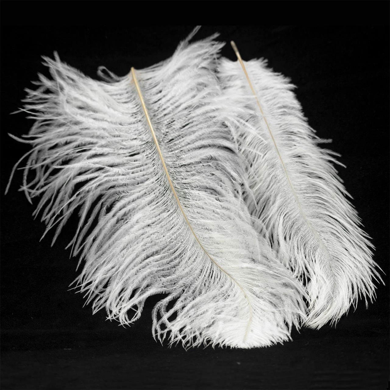 Картинка Люстра Lussole LSP-8601