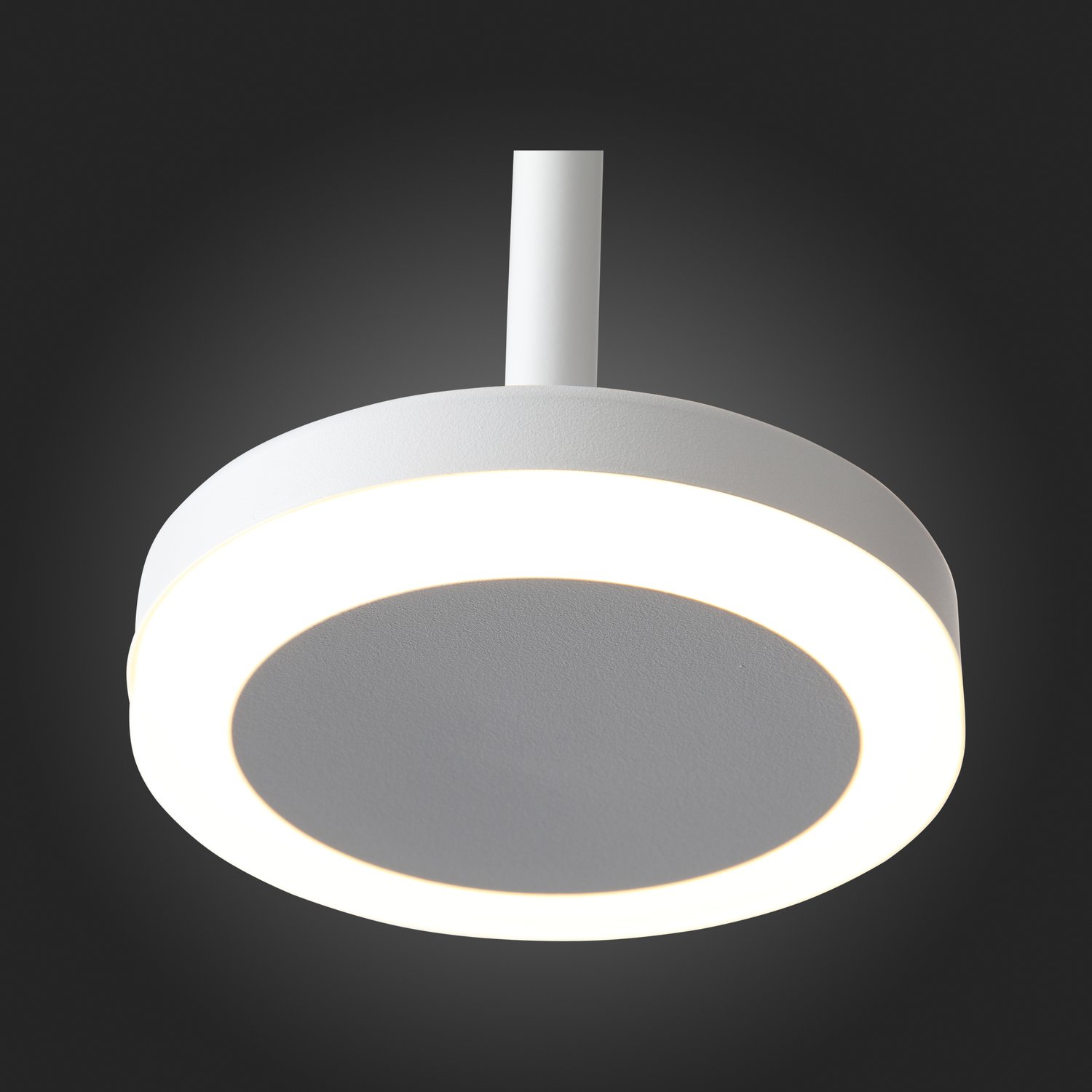 Картинка Подвесной светодиодный светильник ST Luce Ciamella ST104.503.06