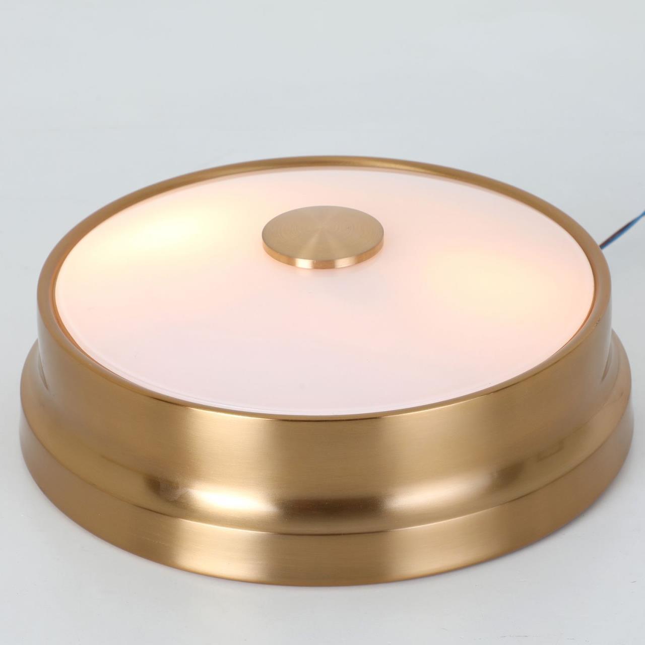 Картинка Потолочный светильник Favourite Pannikin 2375-2C