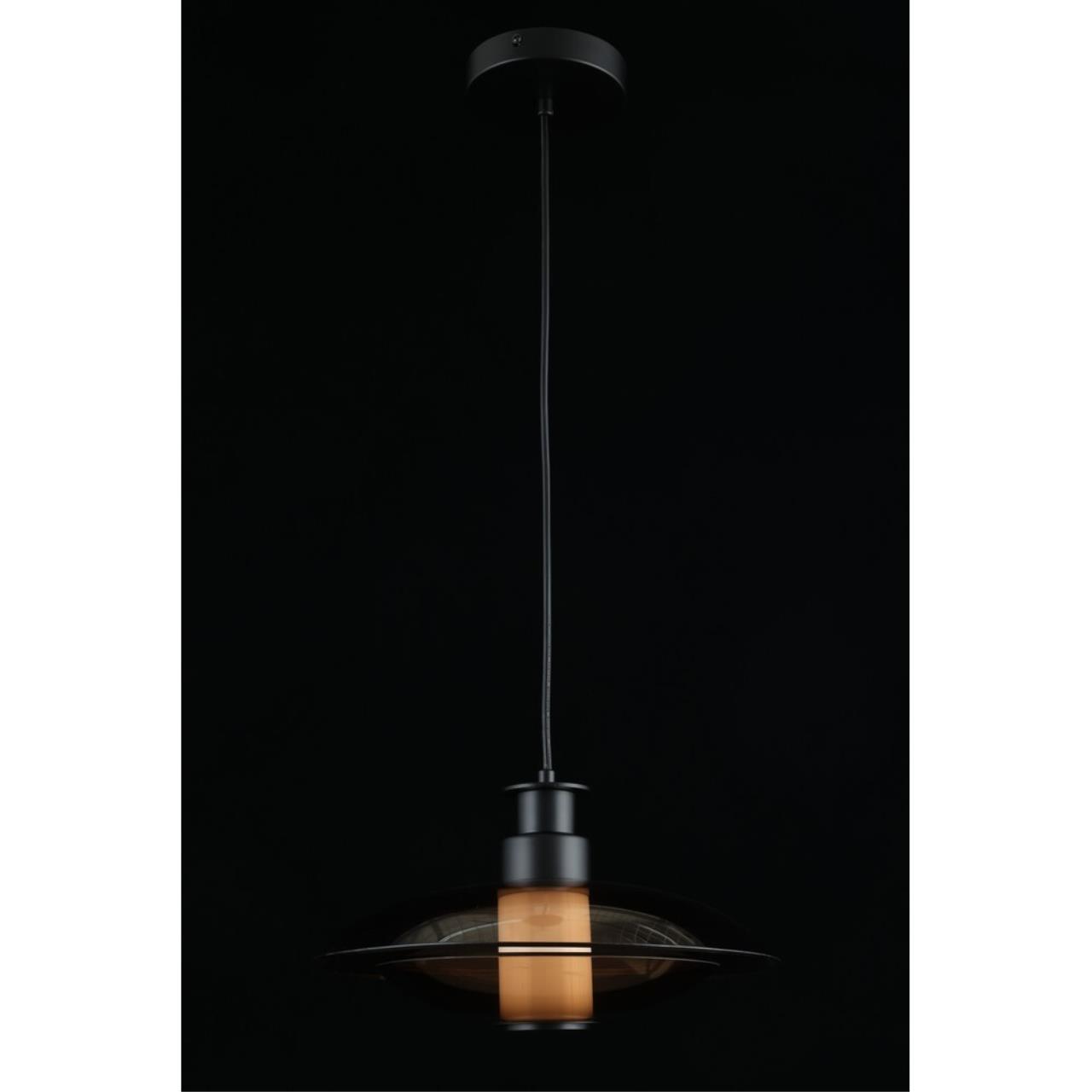 Картинка APL.648.16.10 Светильник подвесной Aployt Stefa