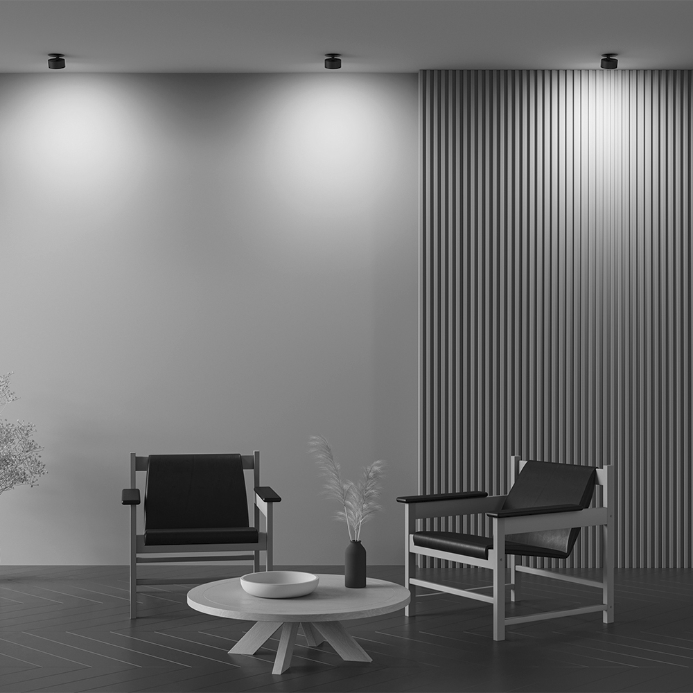 Картинка Встраиваемый светильник Technical DL024-12W4K-B