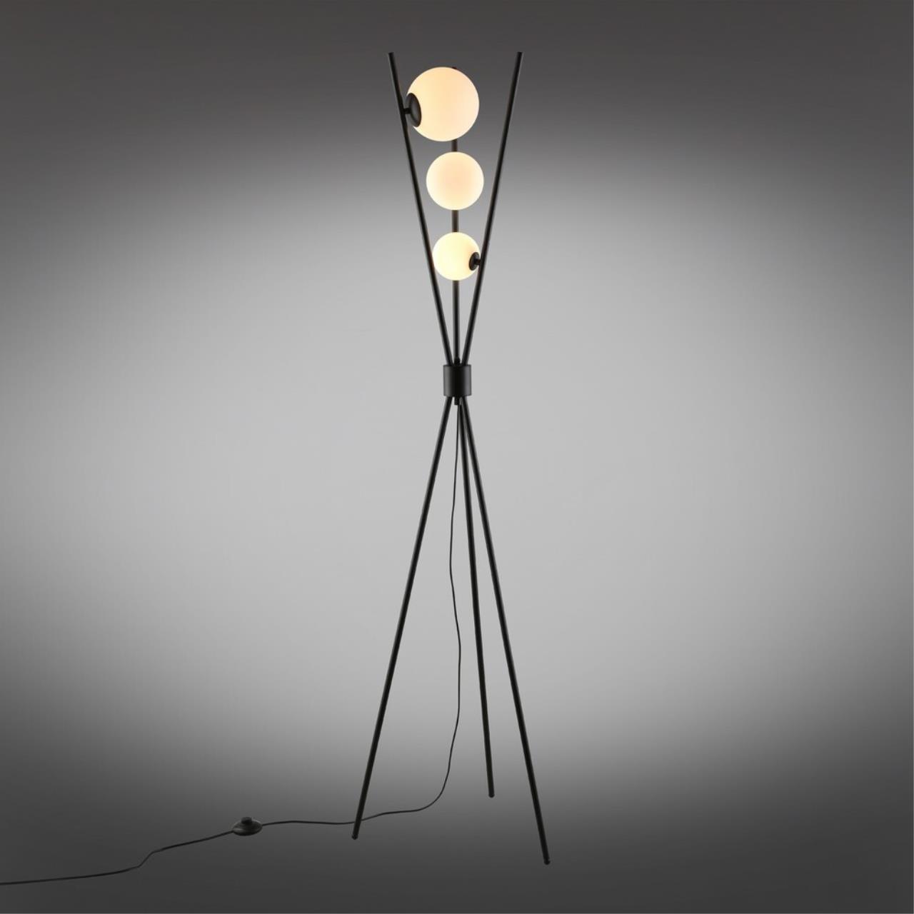 Картинка APL.348.05.03 Торшер Aployt Maja