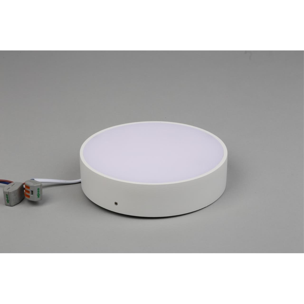 Картинка Потолочный светодиодный светильник Aployt Evon APL.0113.09.18