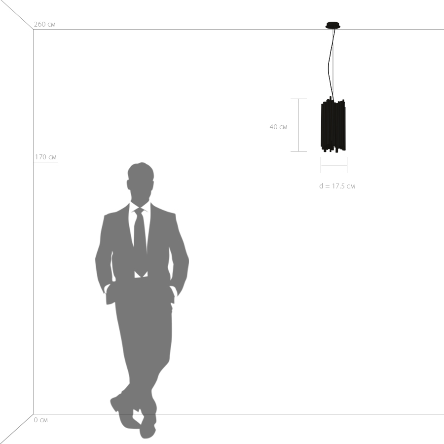 Картинка Подвесной светильник Lightstar Savona 816022