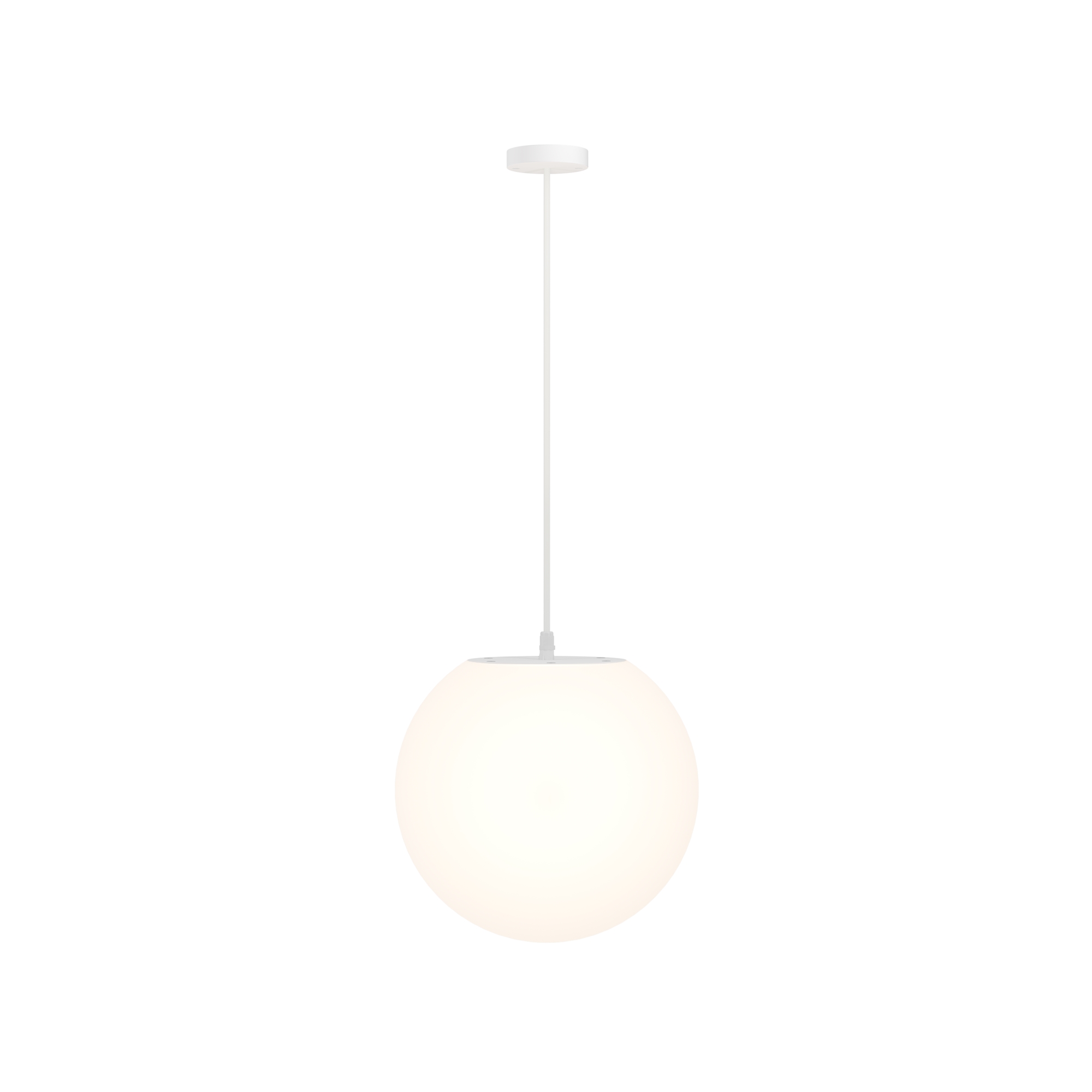 Картинка Подвесной светильник Outdoor O594PL-01W