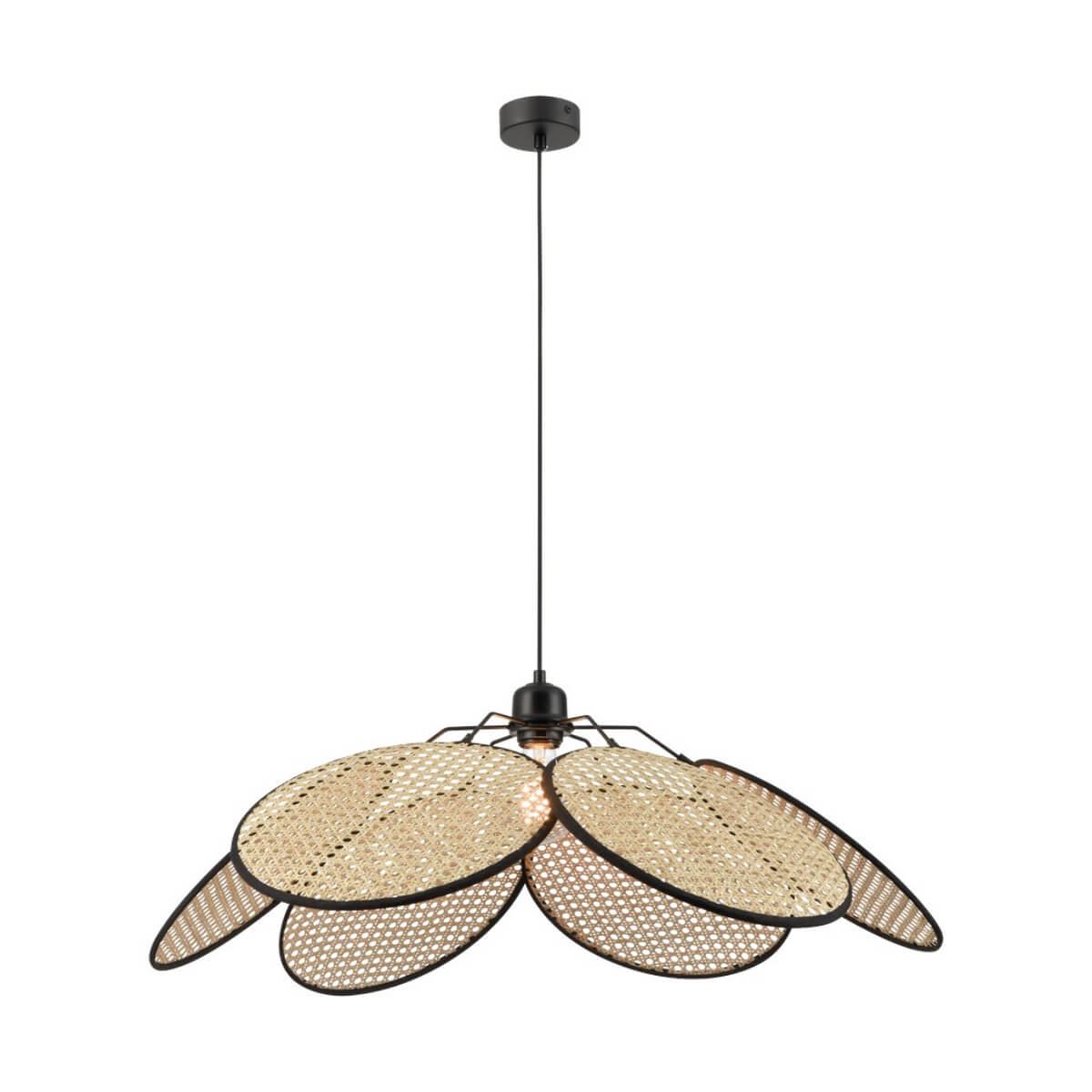 Картинка Подвесной светильник Wertmark PALMA WE520.01.716